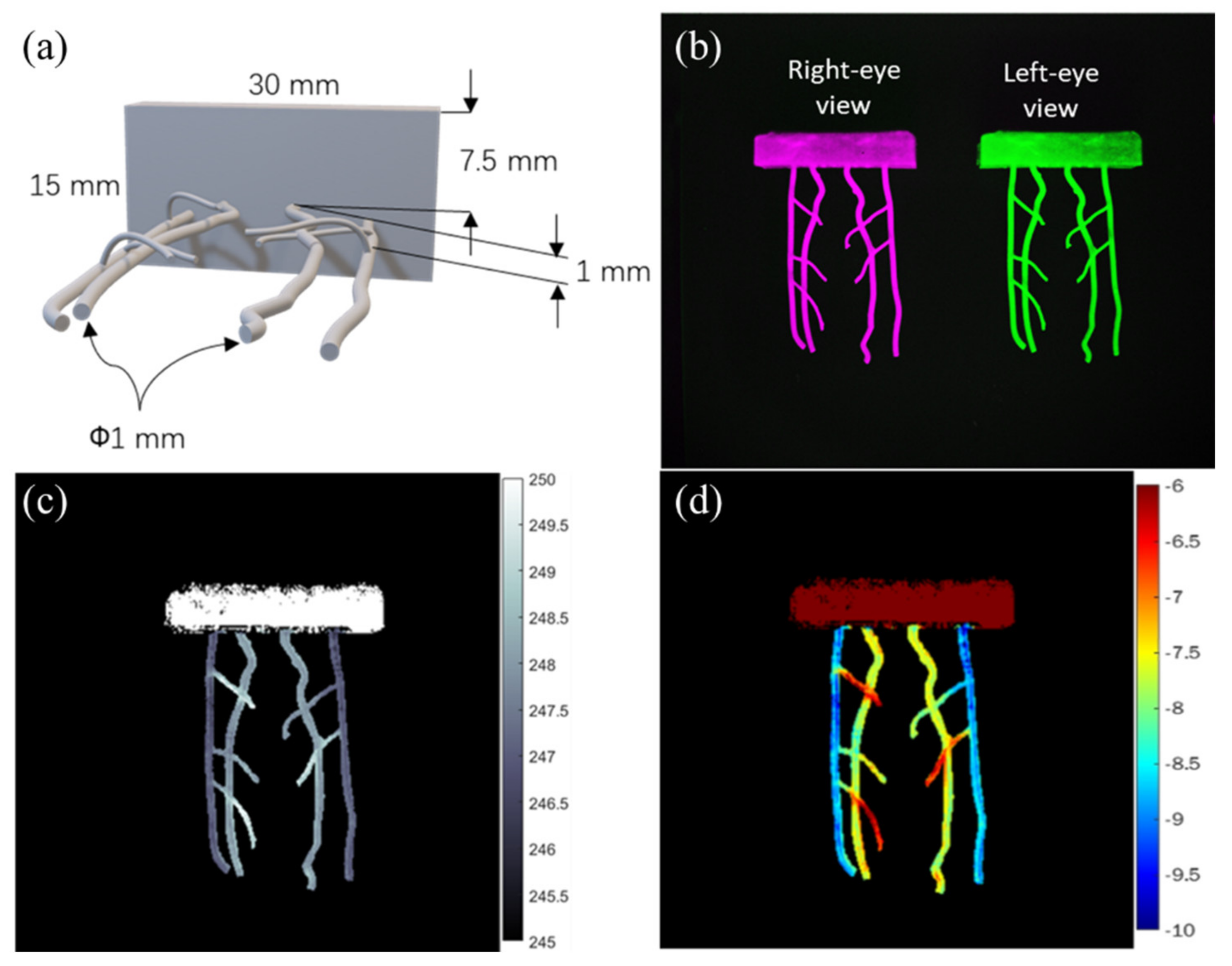 Biosensors 12 00085 g005