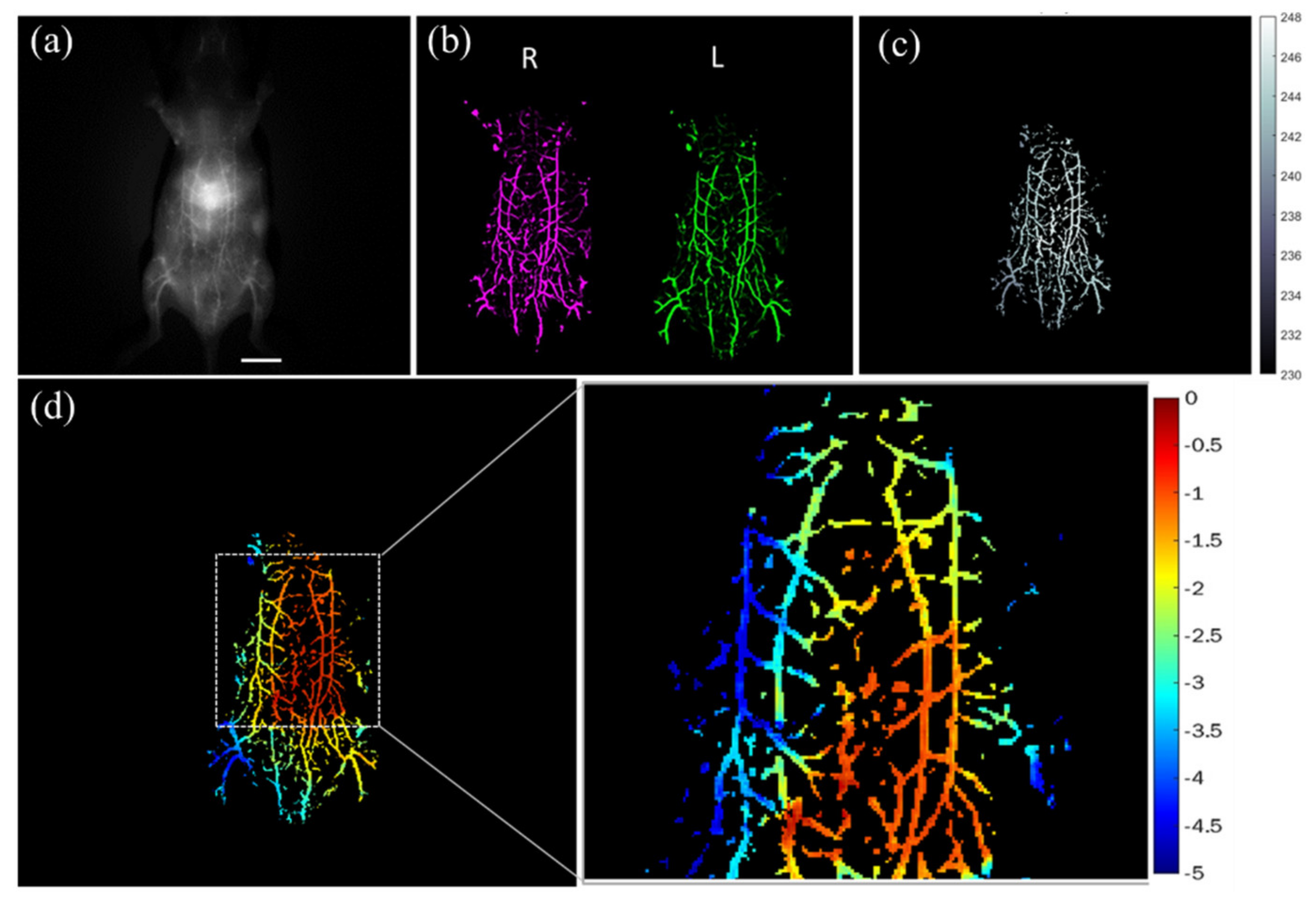 Biosensors 12 00085 g006