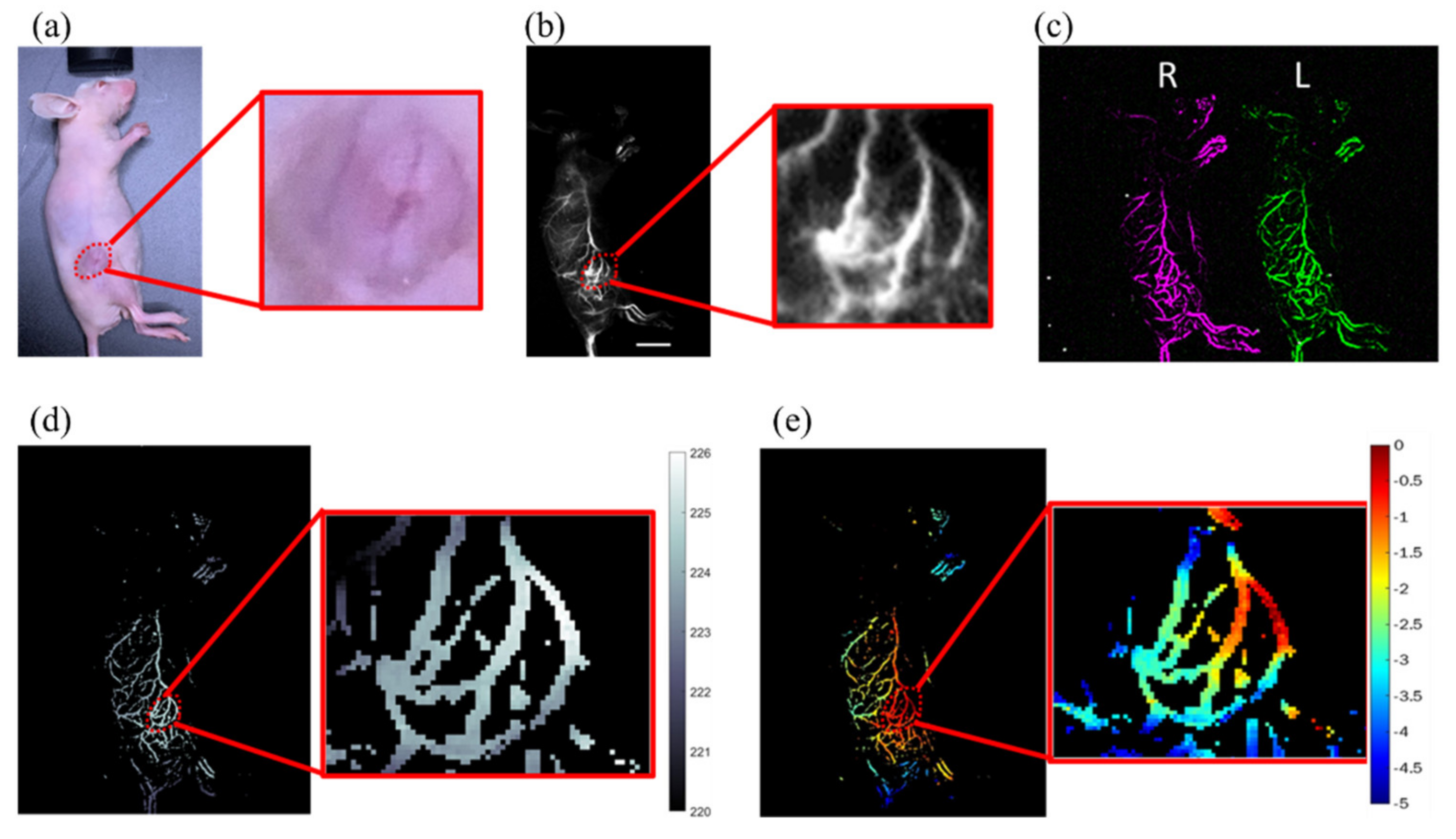 Biosensors 12 00085 g007