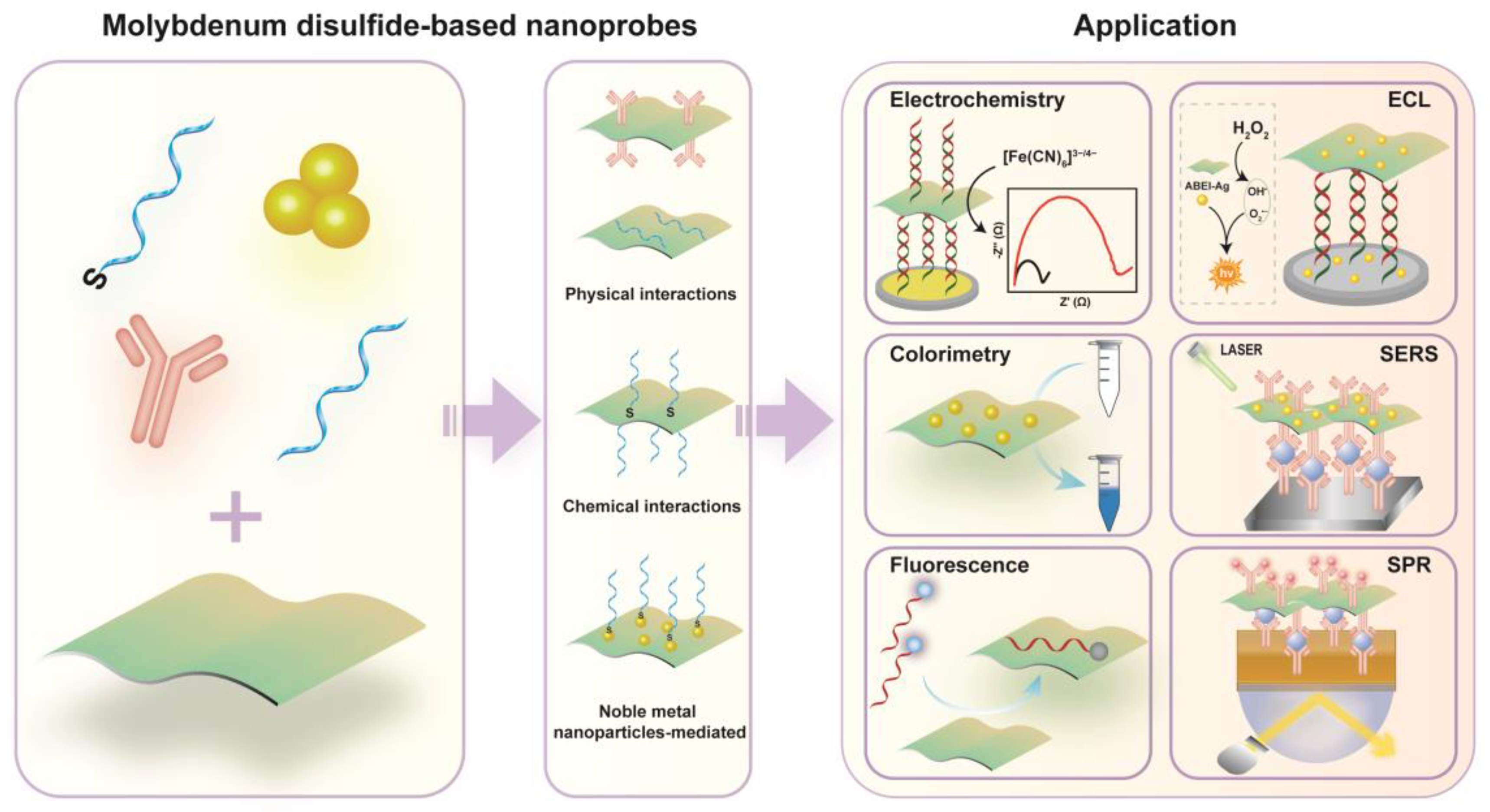 Biosensors 12 00087 g001