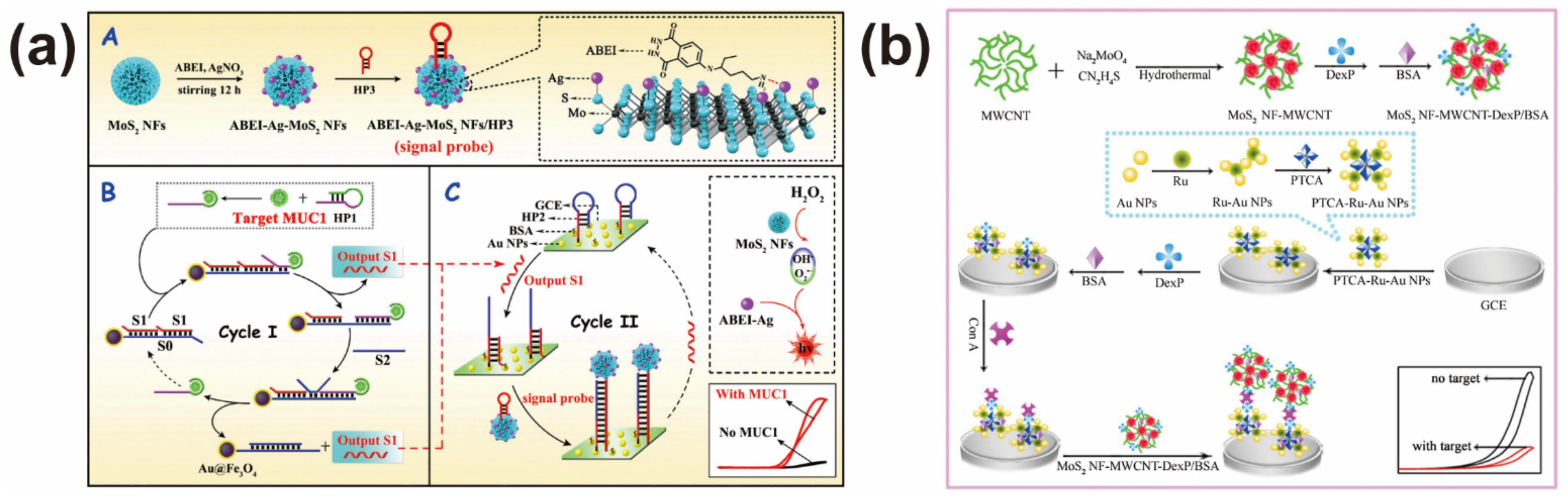 Biosensors 12 00087 g003