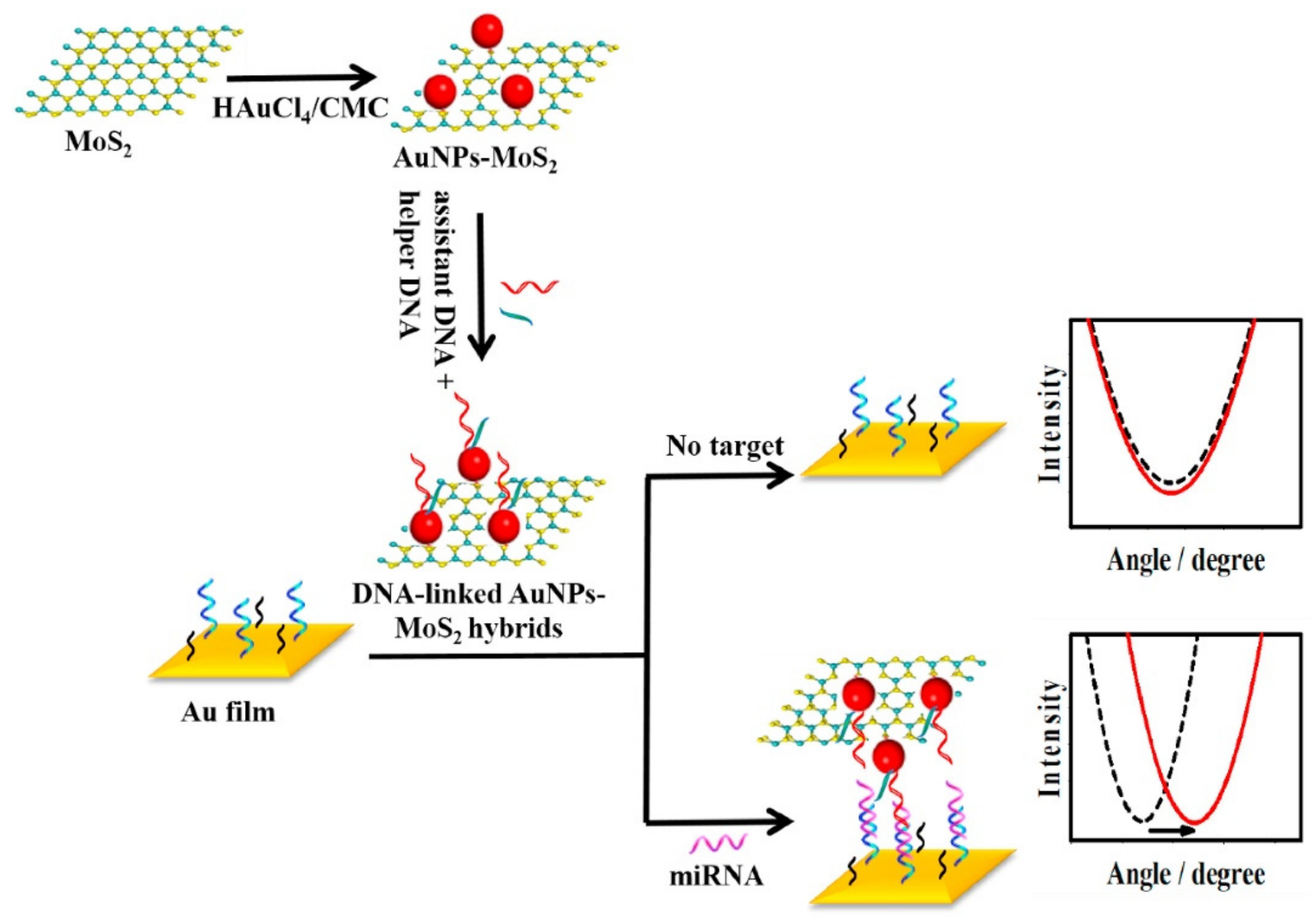 Biosensors 12 00087 g007