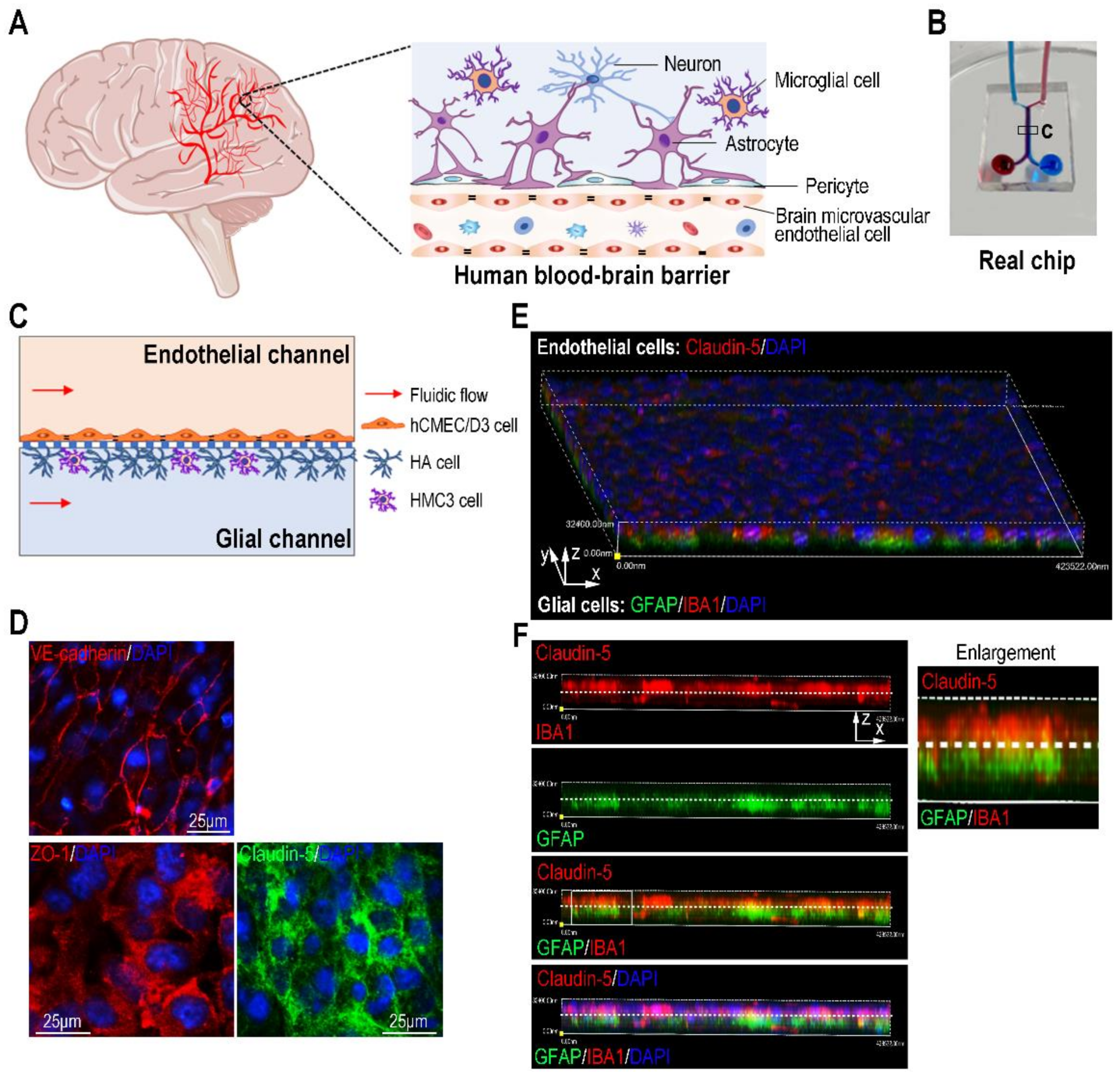 Biosensors 12 00089 g002