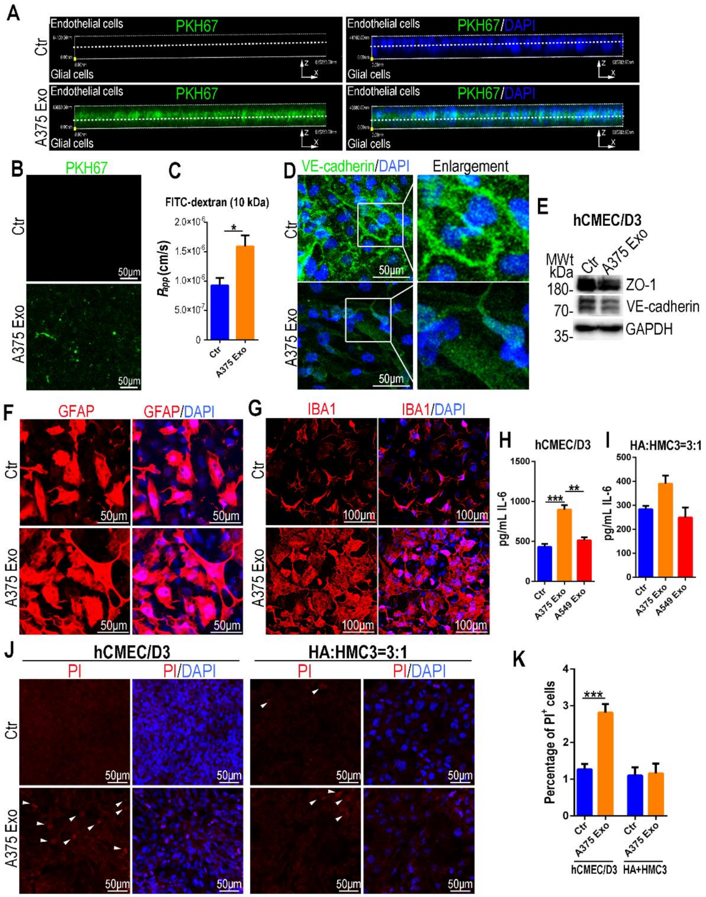 Biosensors 12 00089 g003