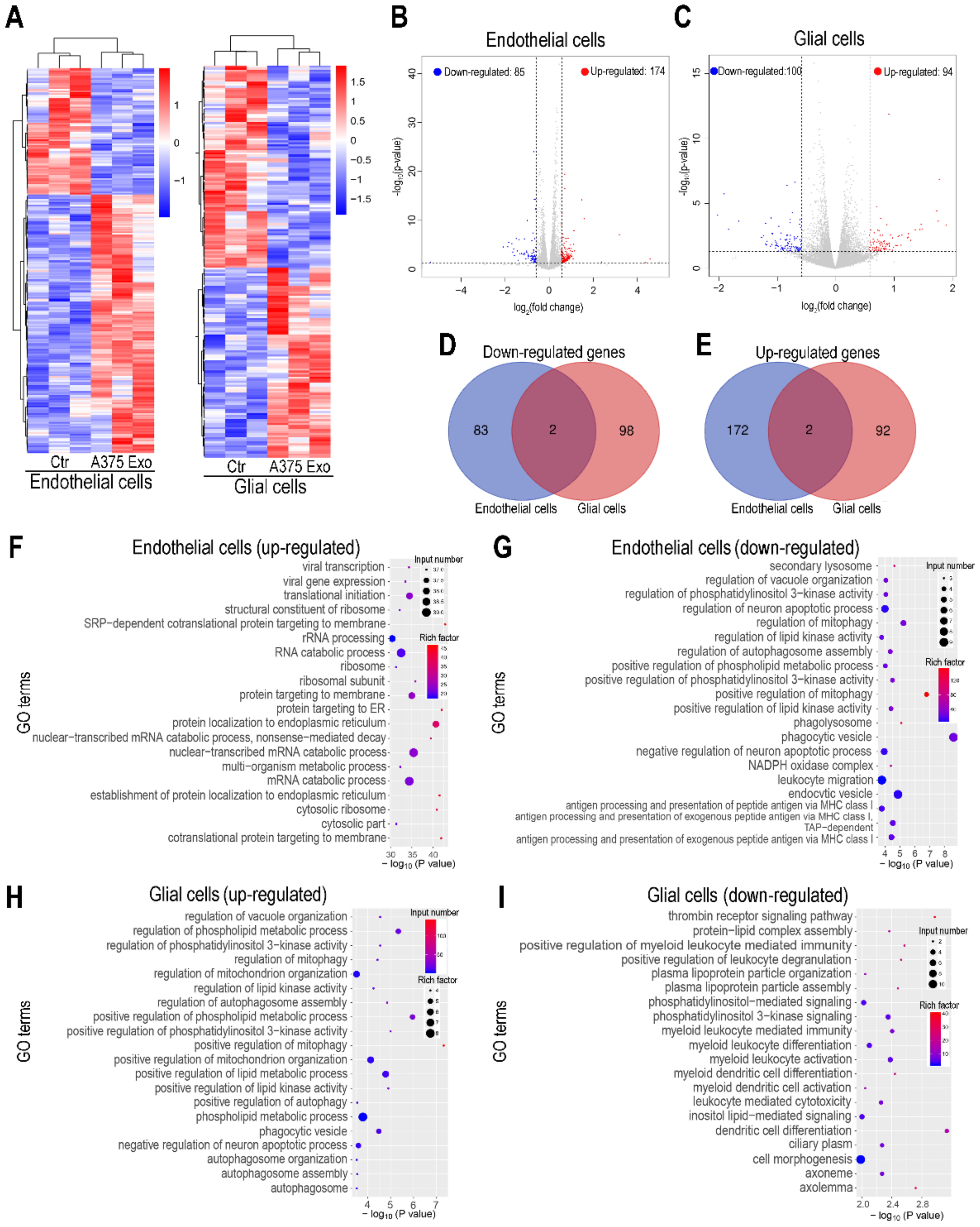 Biosensors 12 00089 g004