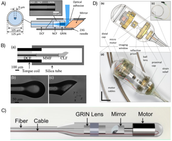 Biosensors 12 00090 g002