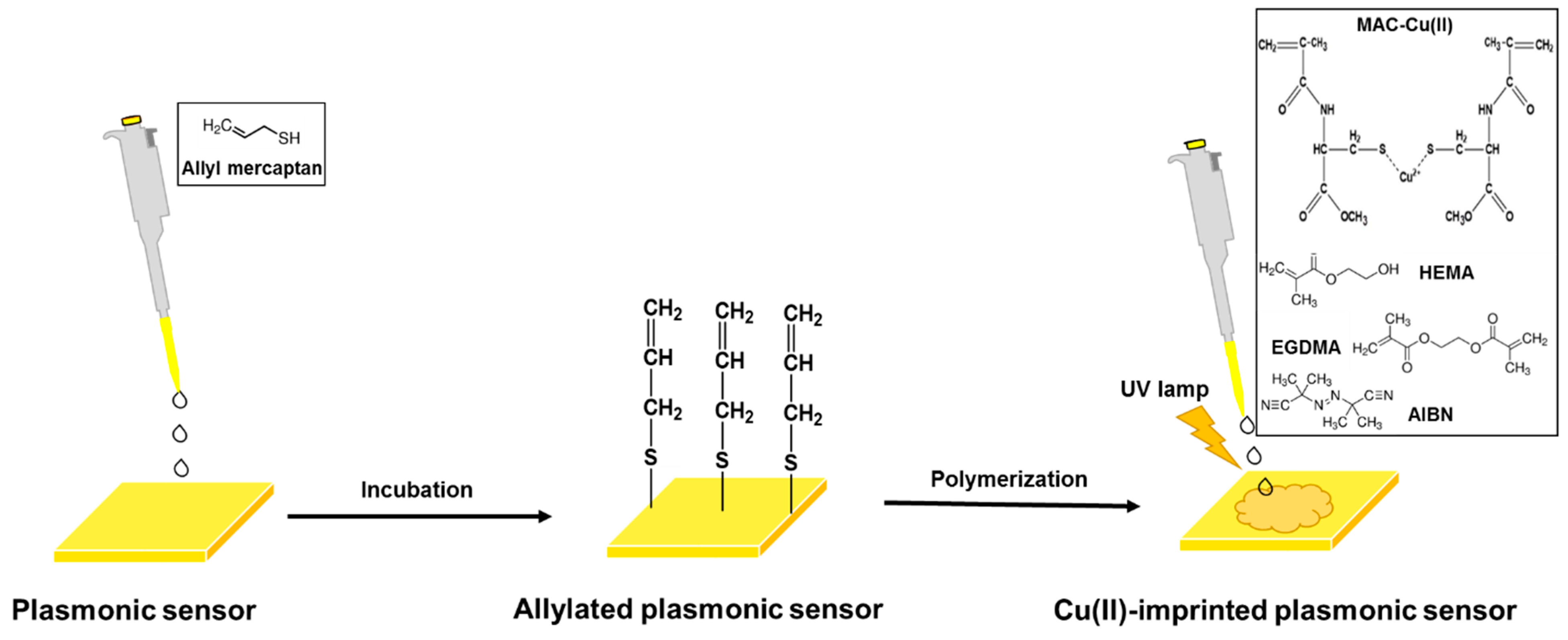 Biosensors 12 00091 g001