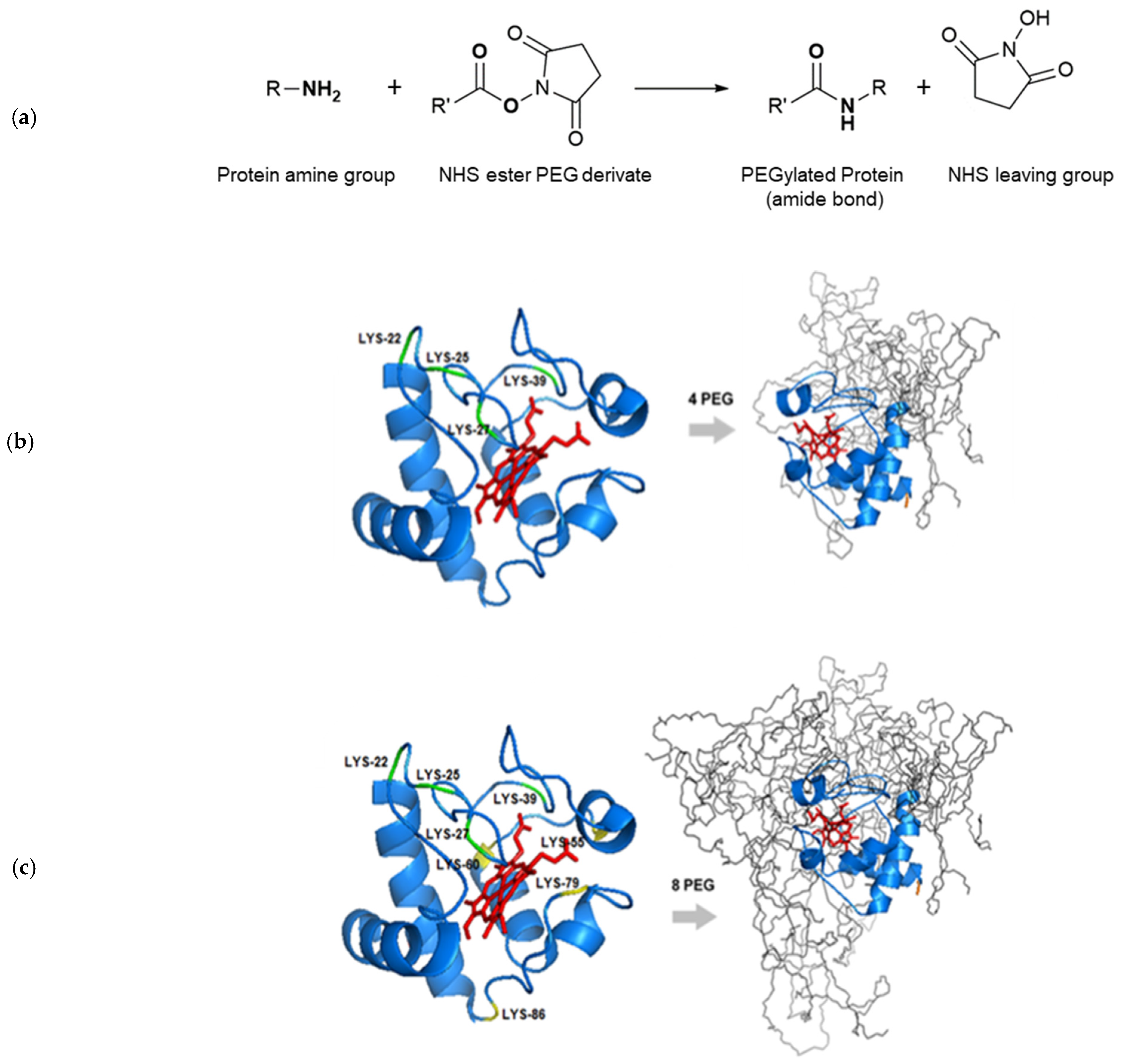 Biosensors 12 00094 g001