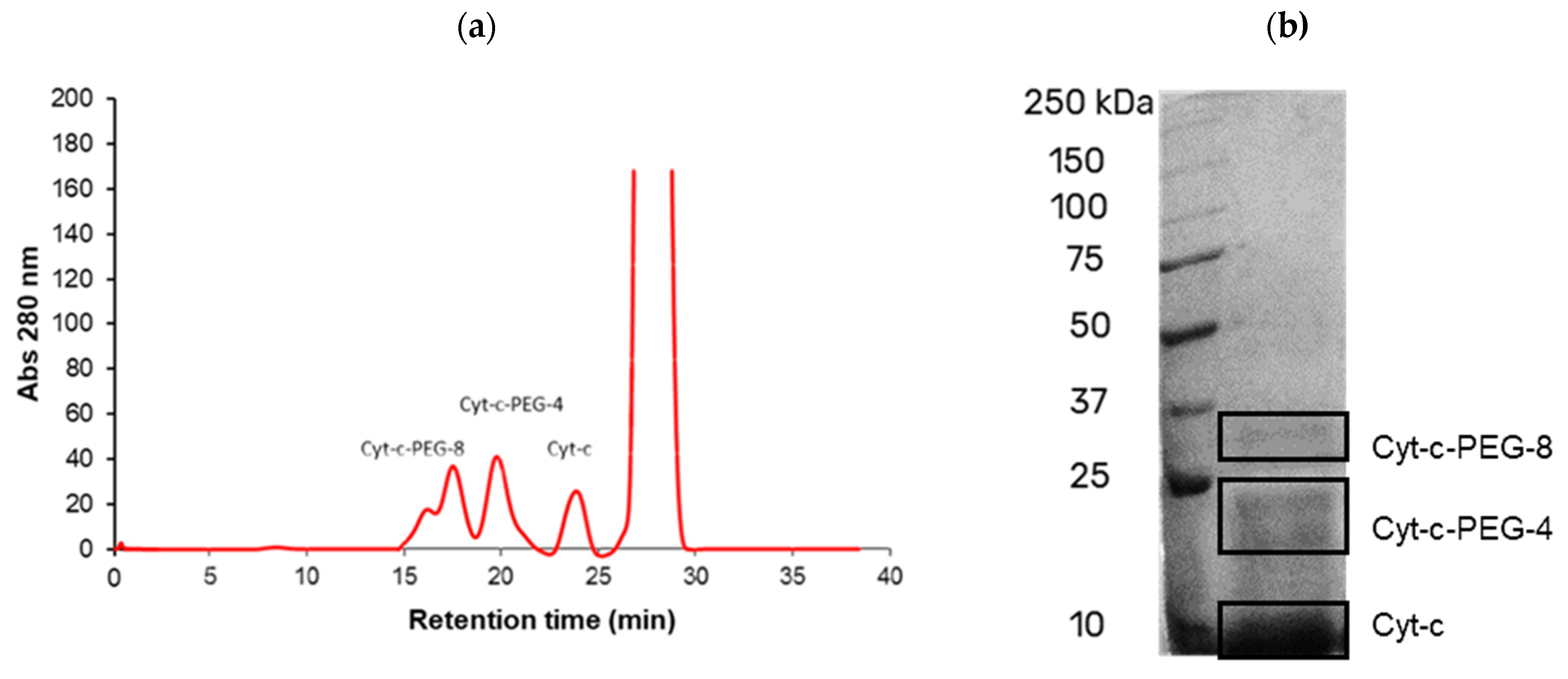 Biosensors 12 00094 g004