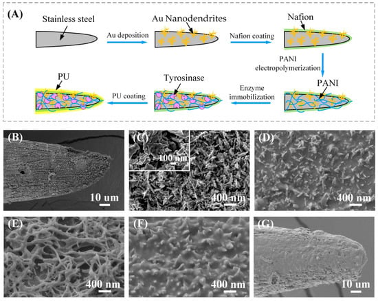 Biosensors 12 00102 g002 550