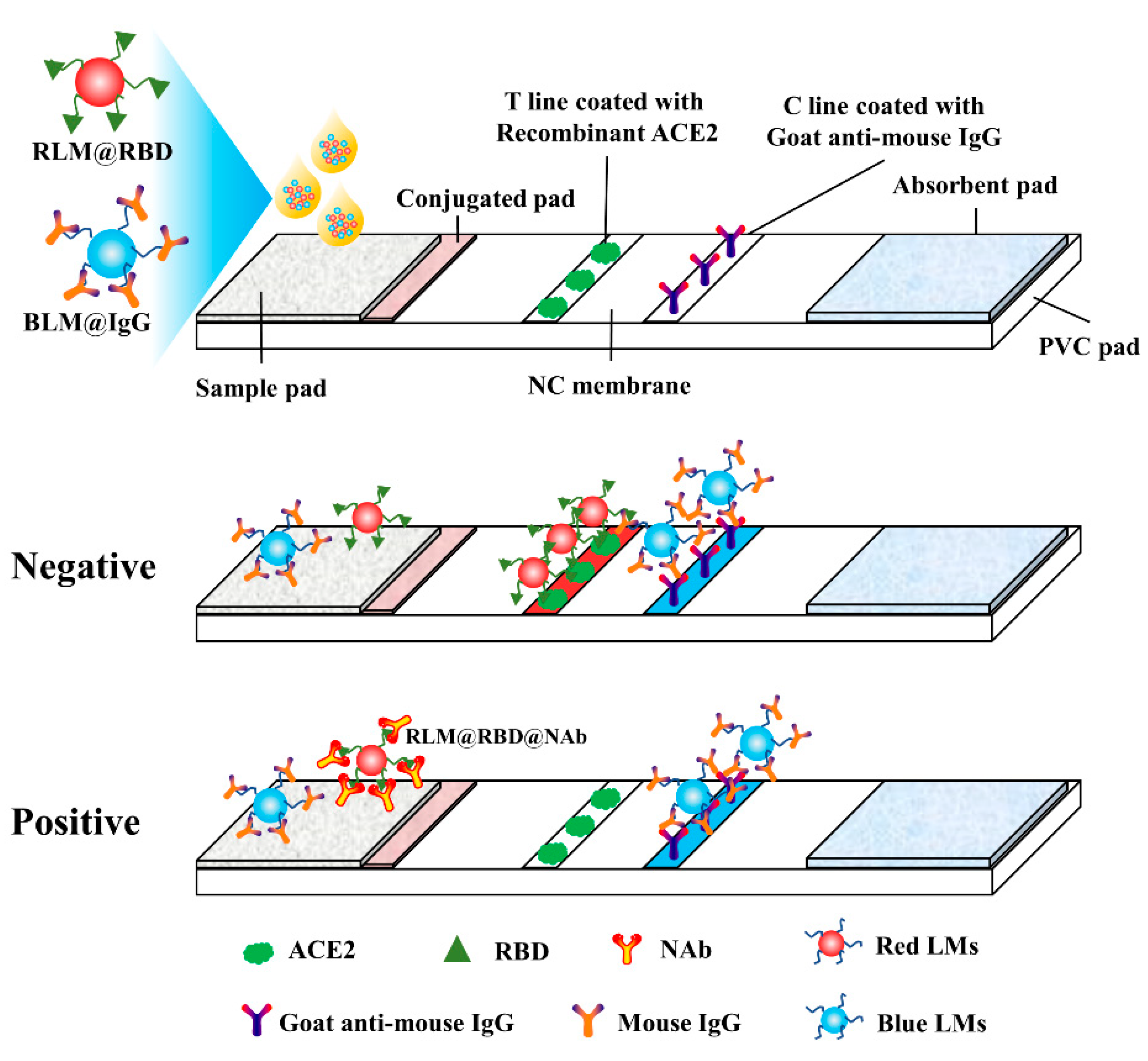 Biosensors 12 00103 g001
