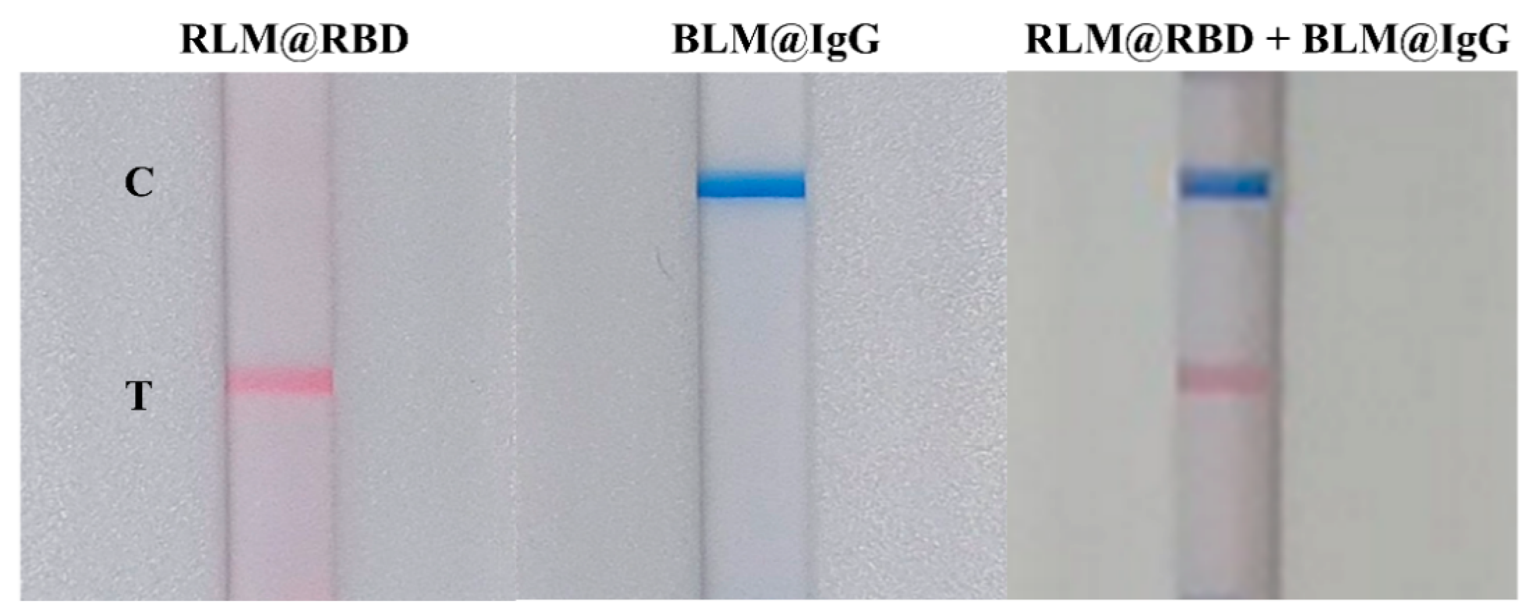 Biosensors 12 00103 g002