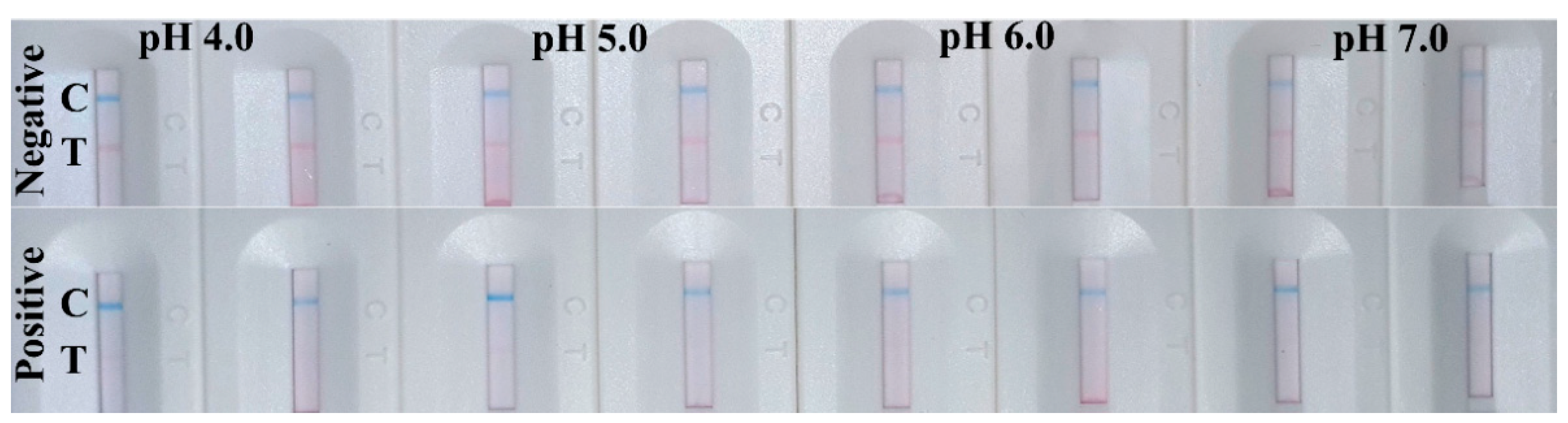 Biosensors 12 00103 g003