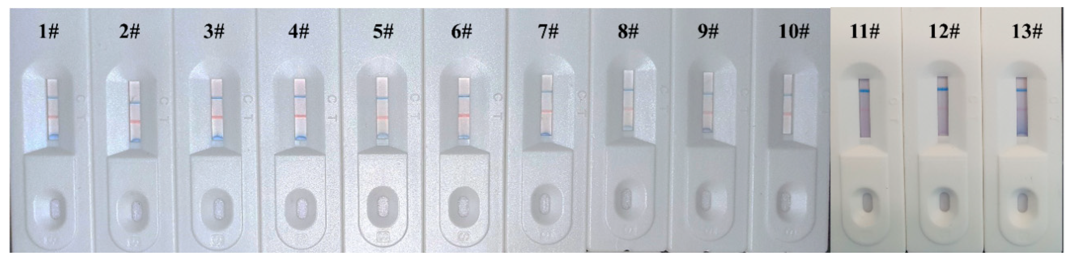 Biosensors 12 00103 g006