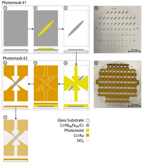 Biosensors 12 00108 g0a1 550