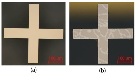 Biosensors 12 00108 g0a4 550