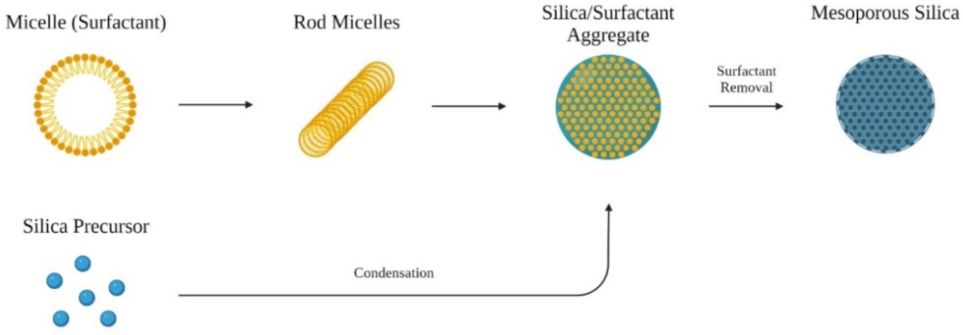 Biosensors 12 00109 g001