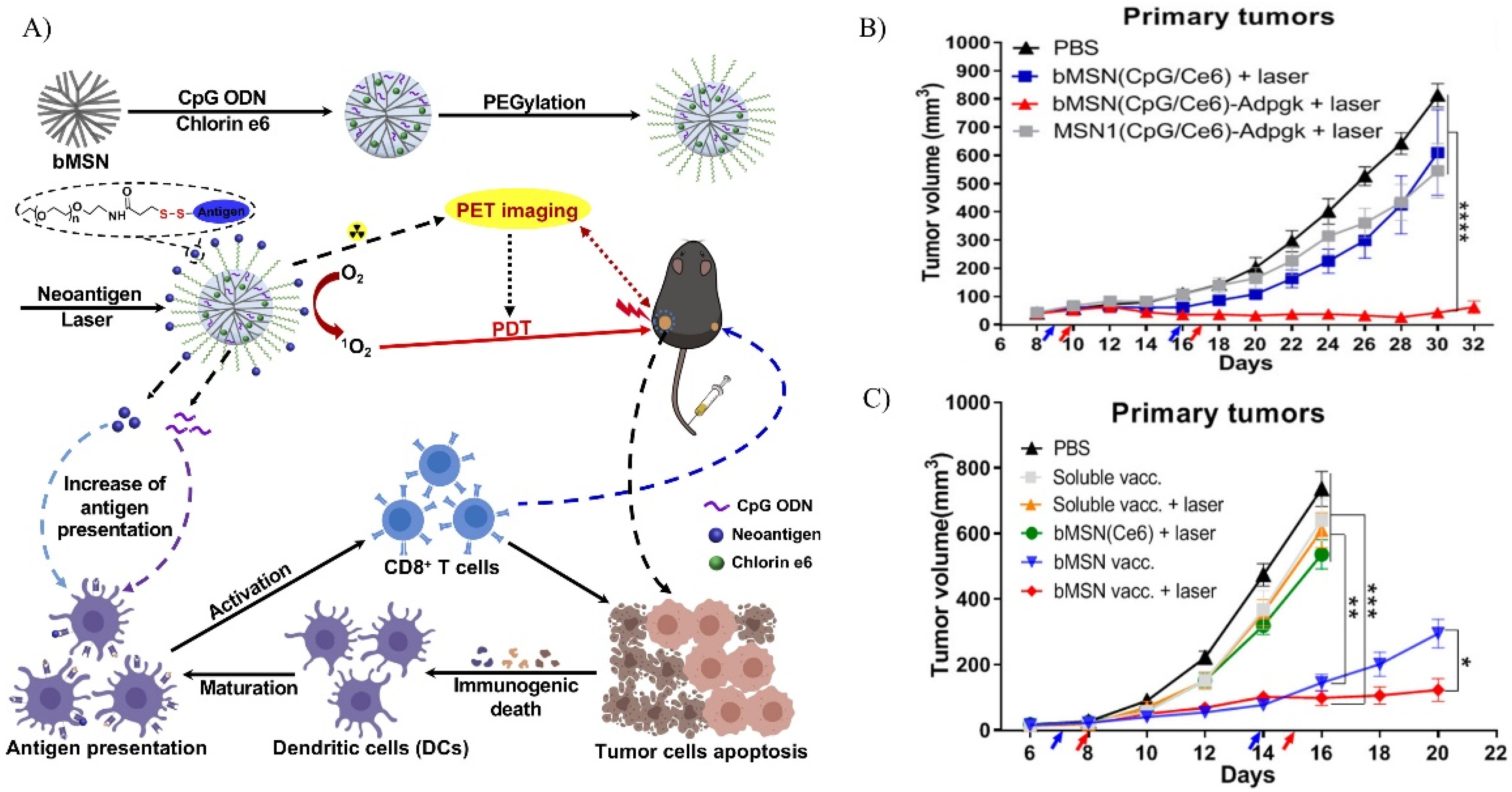Biosensors 12 00109 g006