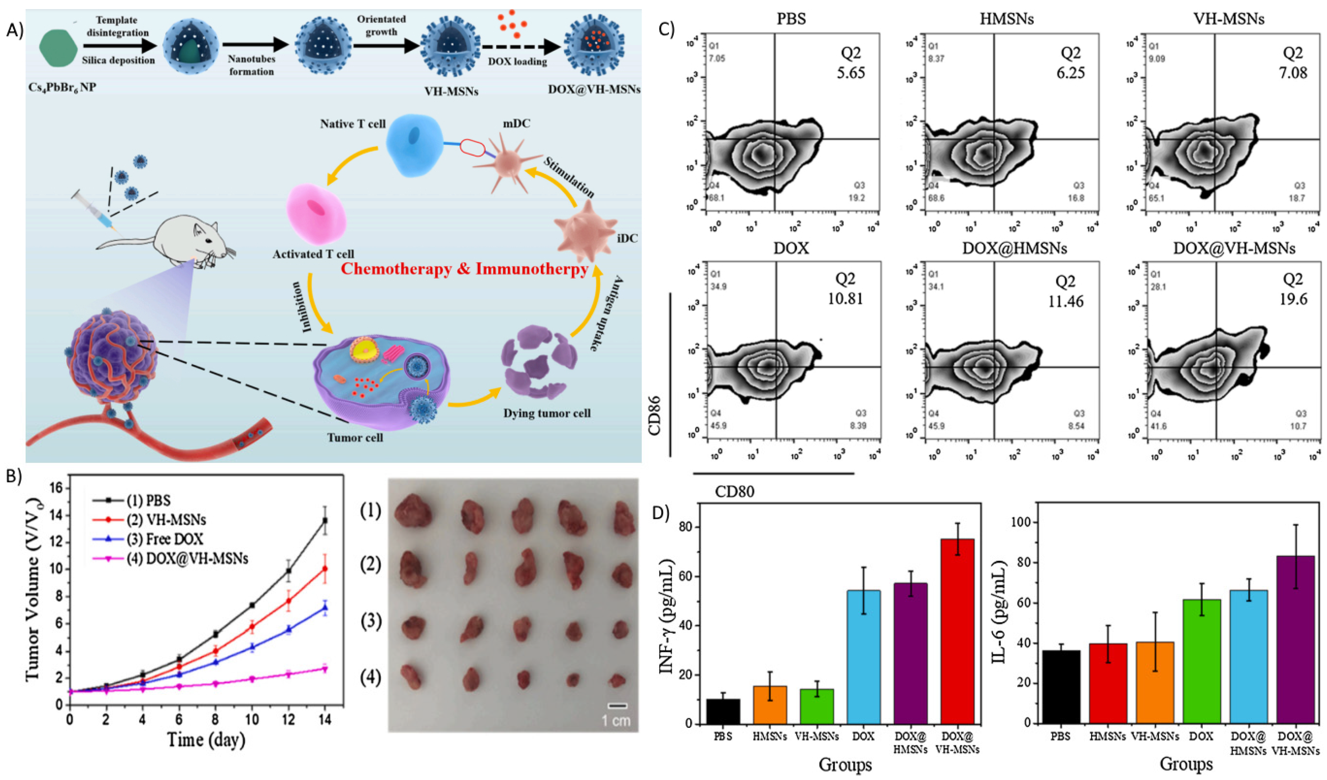 Biosensors 12 00109 g008