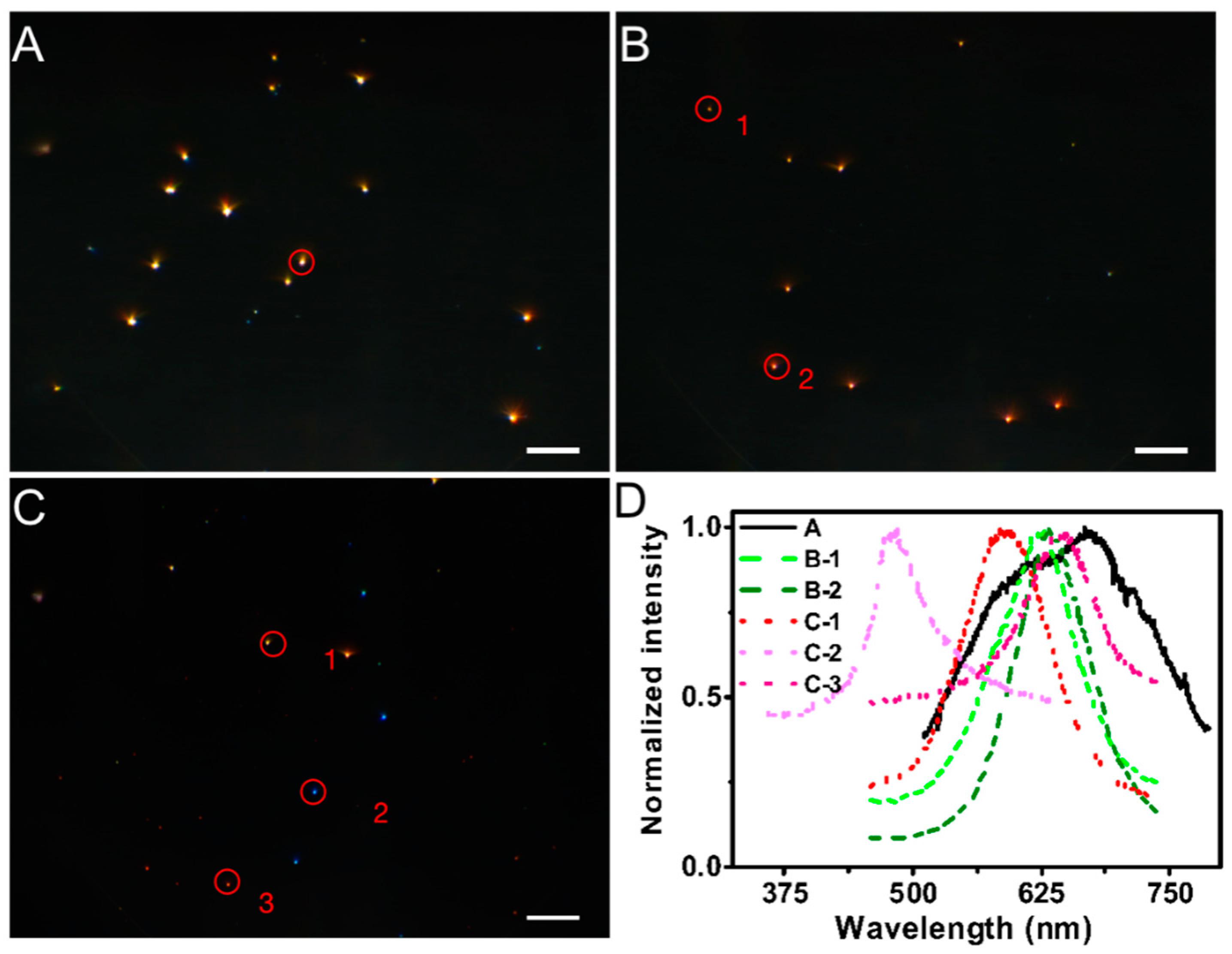 Biosensors 12 00111 g005