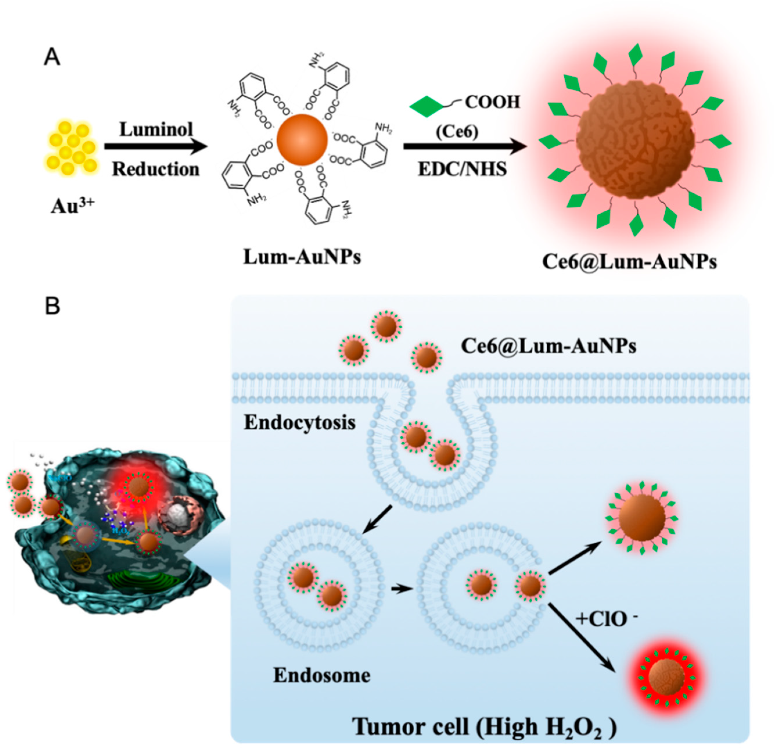 Biosensors 12 00111 sch001