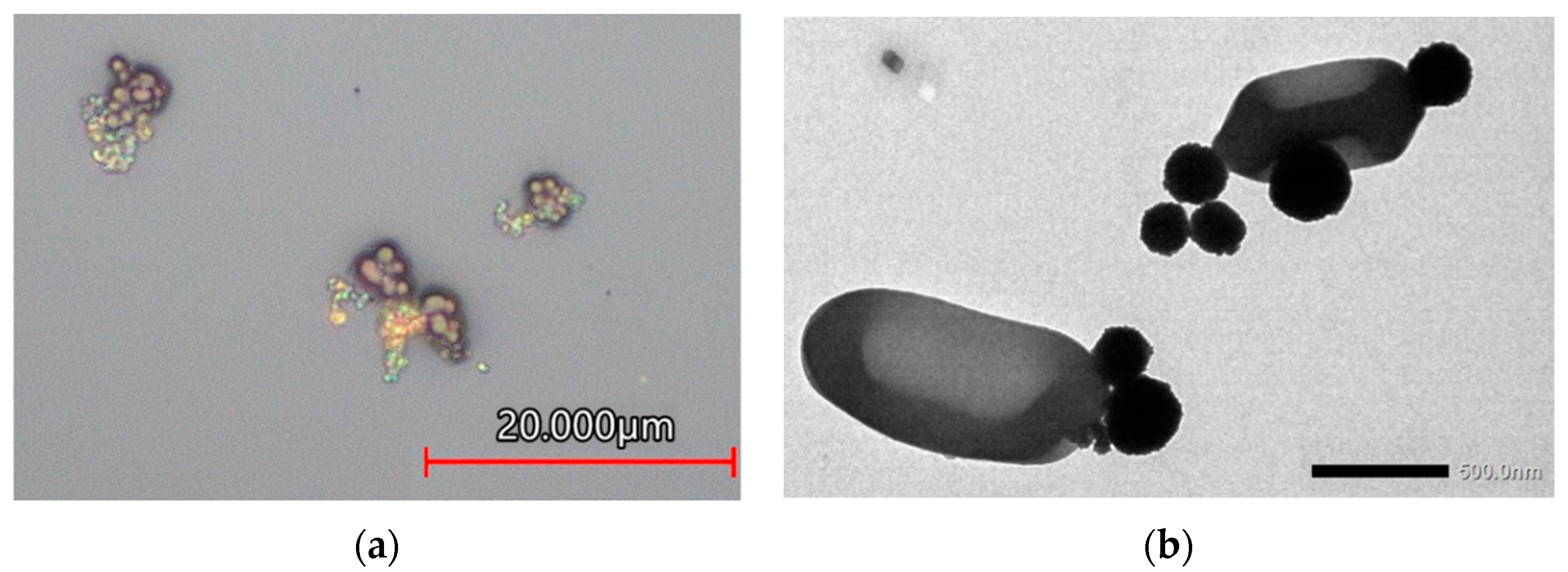 Biosensors 12 00112 g001