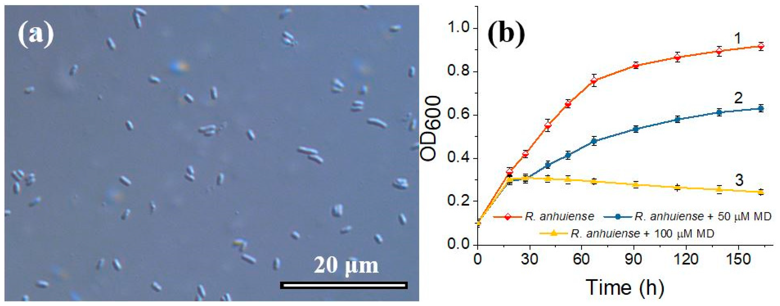 Biosensors 12 00113 g002