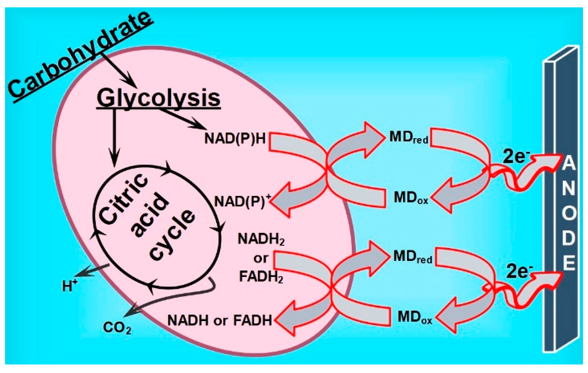 Biosensors 12 00113 g007