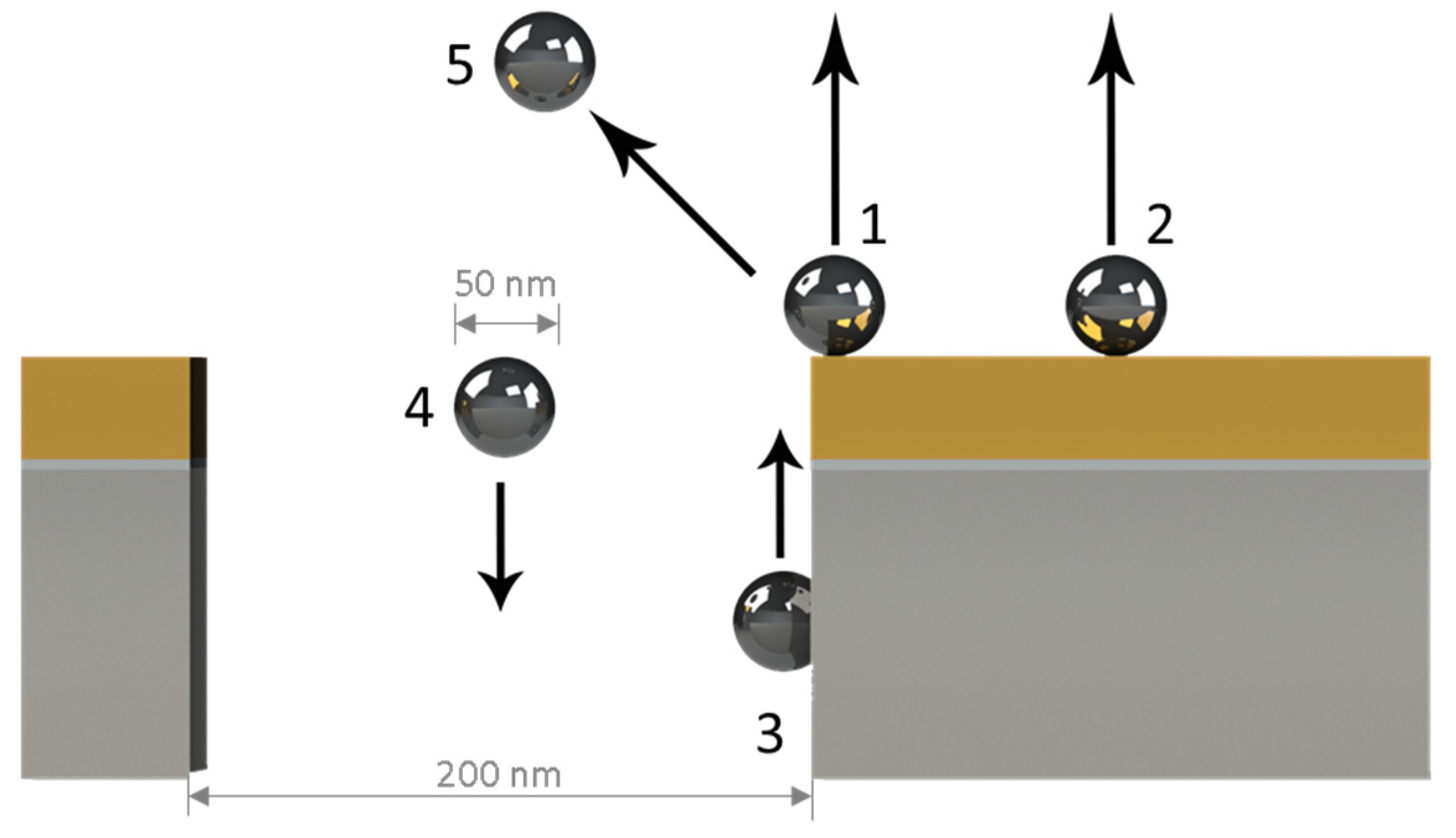 Biosensors 12 00128 g003