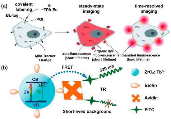 Biosensors 12 00131 g009 550