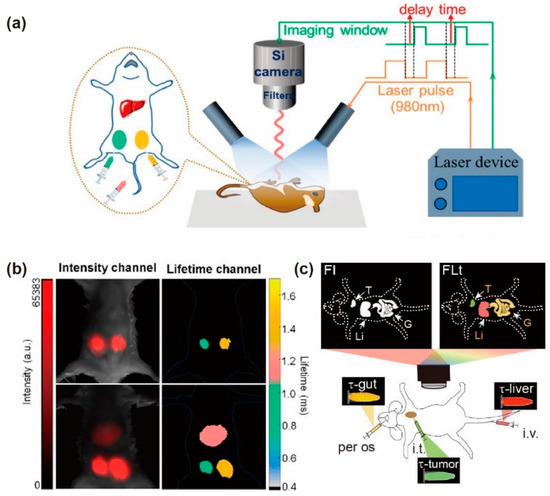 Biosensors 12 00131 g011 550