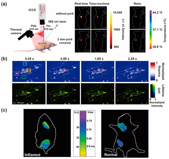 Biosensors 12 00131 g012 550