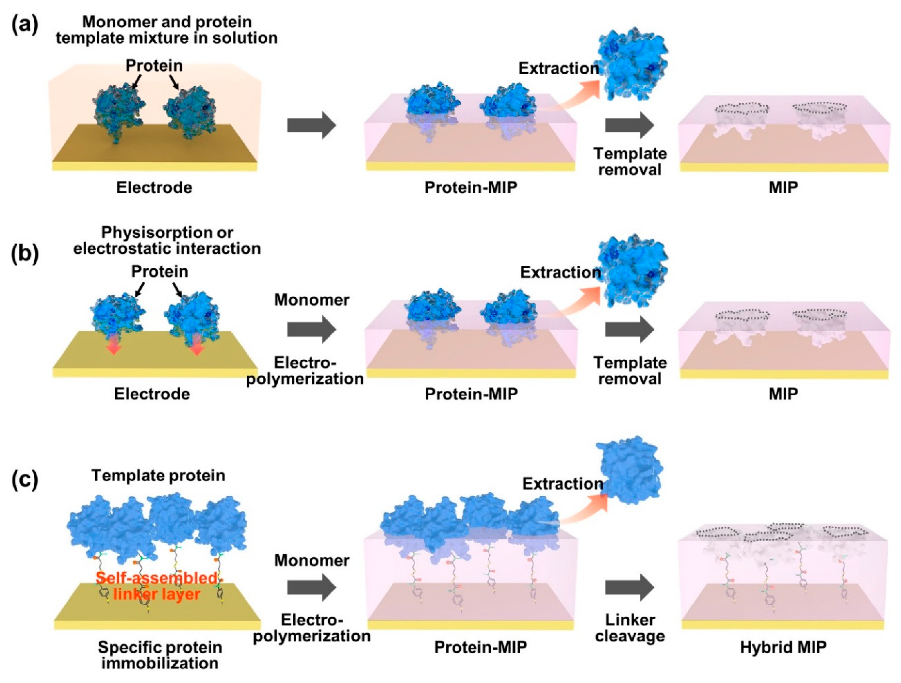Biosensors 12 00136 g002