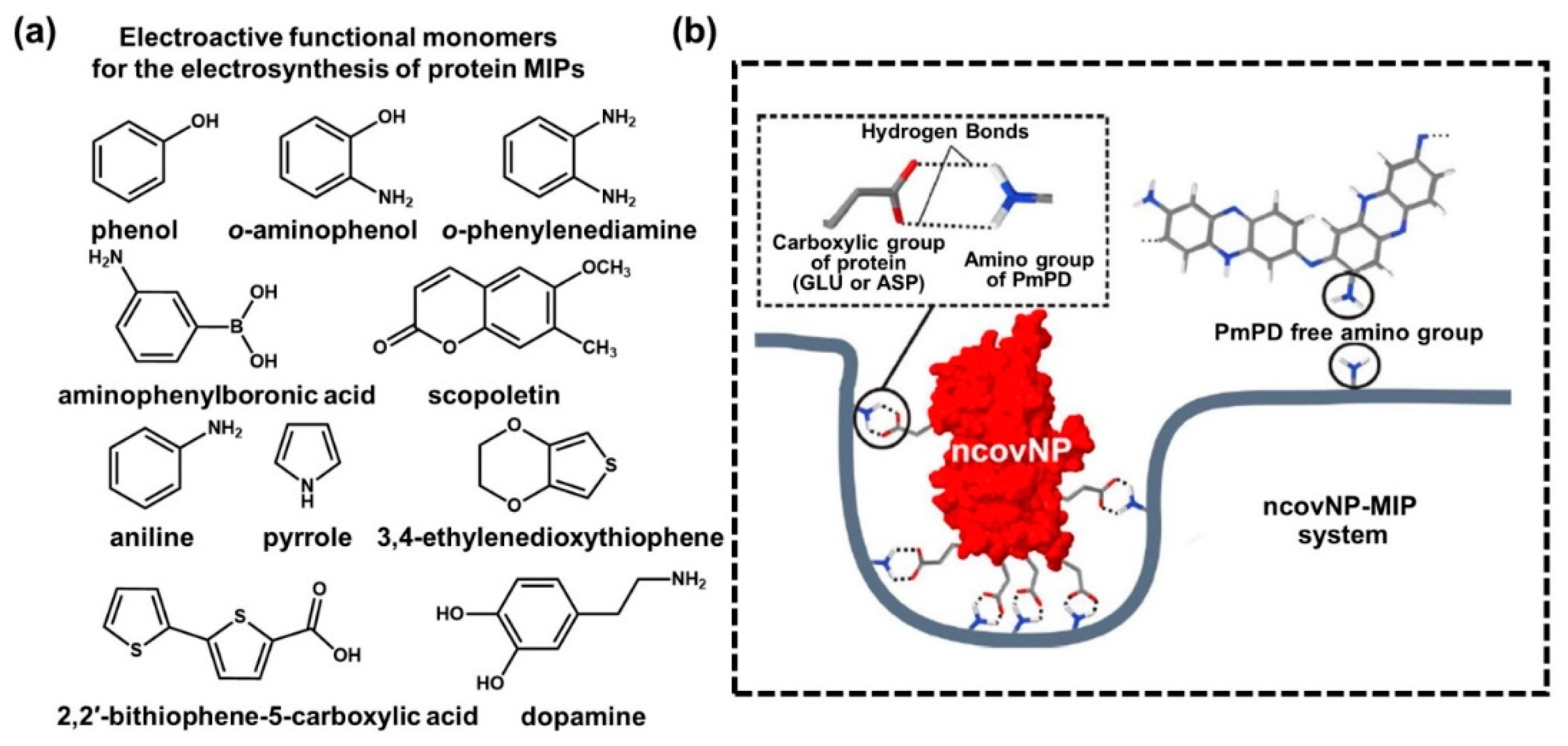 Biosensors 12 00136 g003