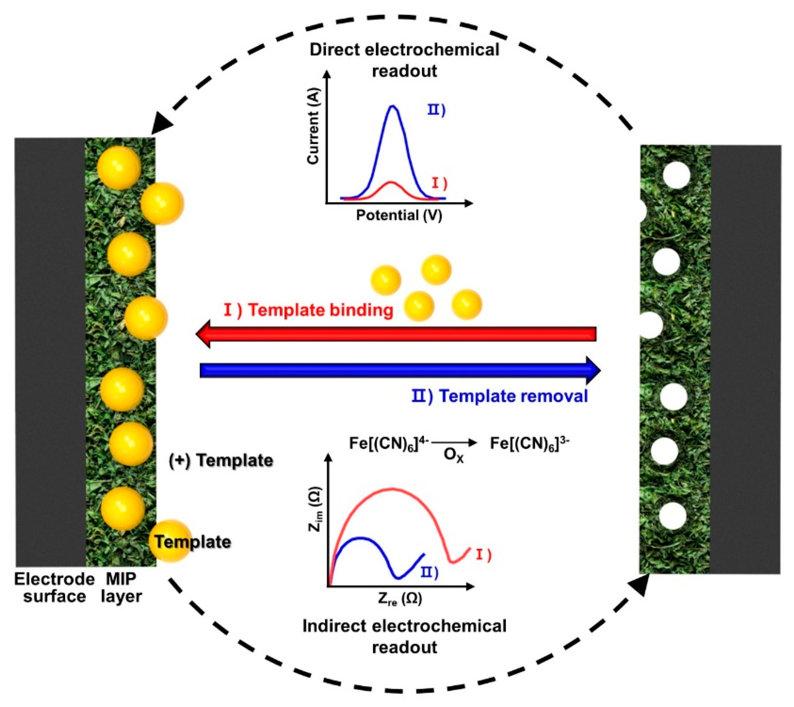 Biosensors 12 00136 g005