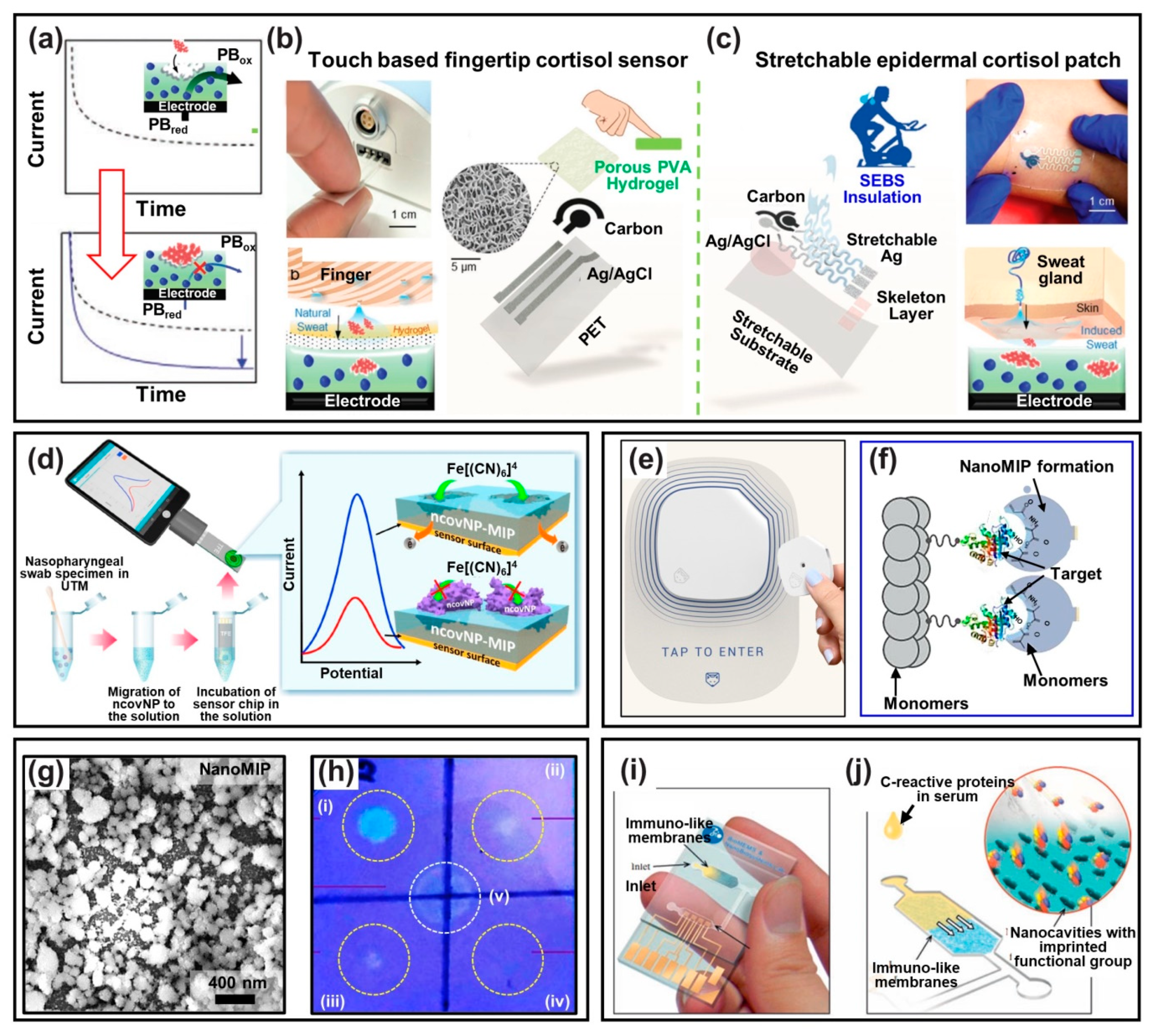 Biosensors 12 00136 g006