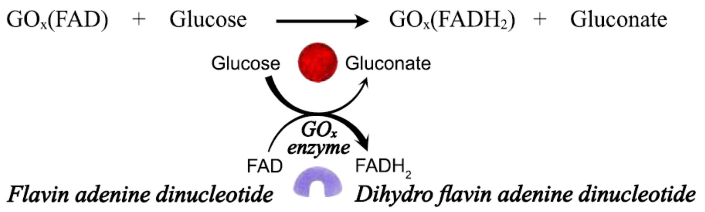 Biosensors 12 00137 g002