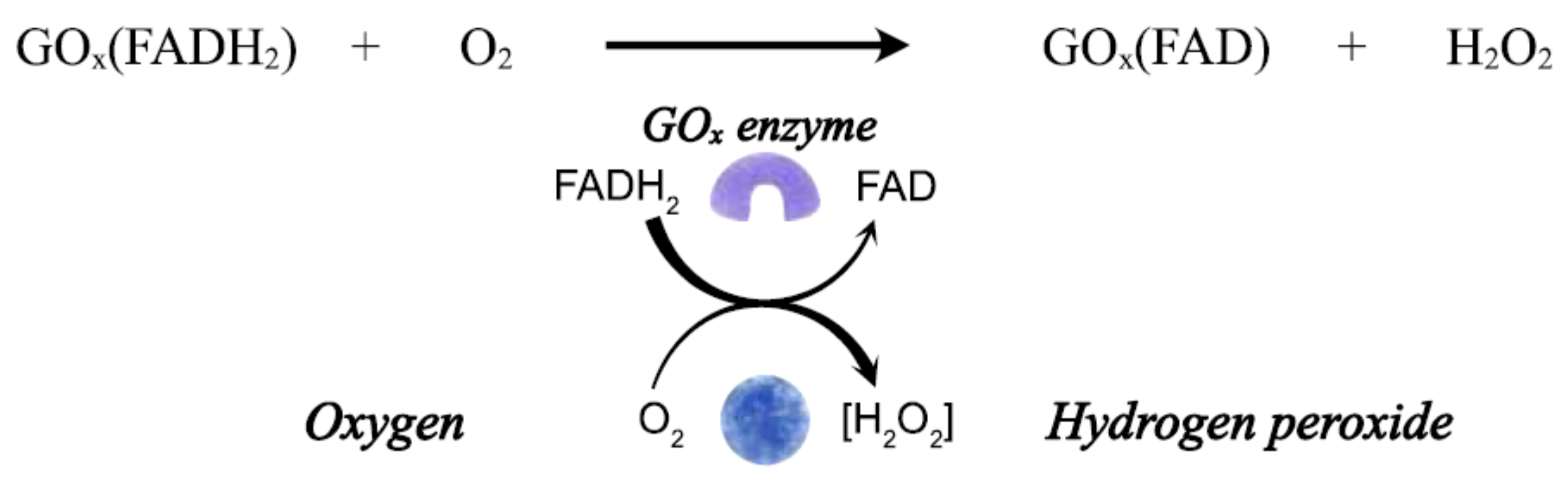 Biosensors 12 00137 g003