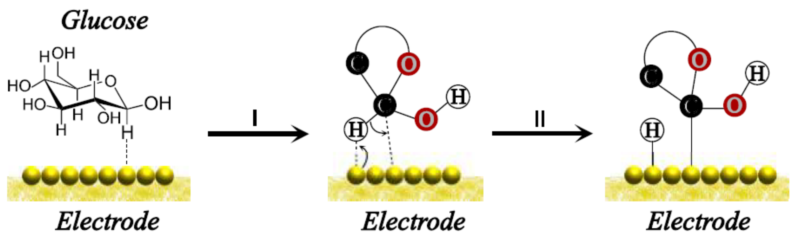 Biosensors 12 00137 g004