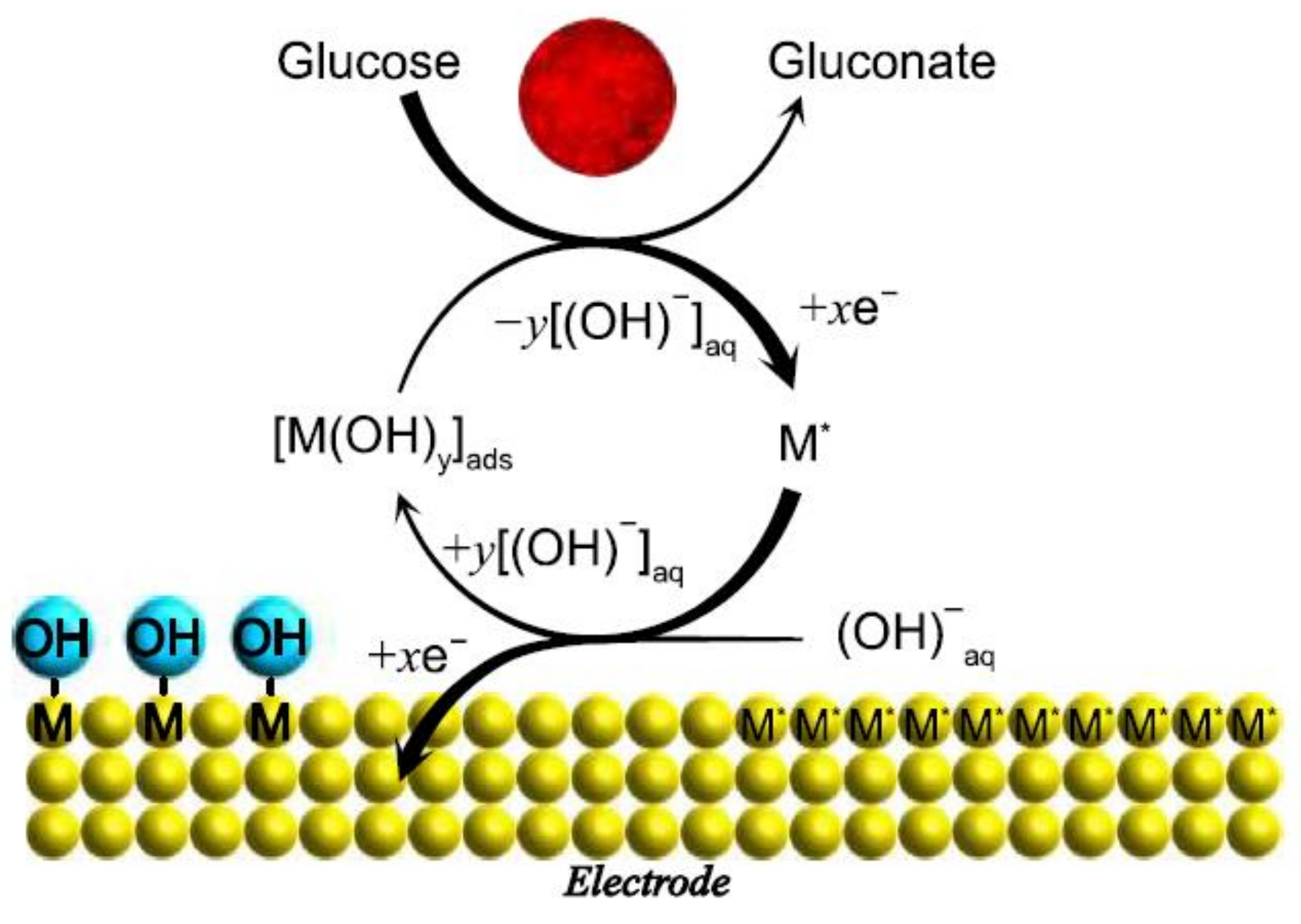 Biosensors 12 00137 g005