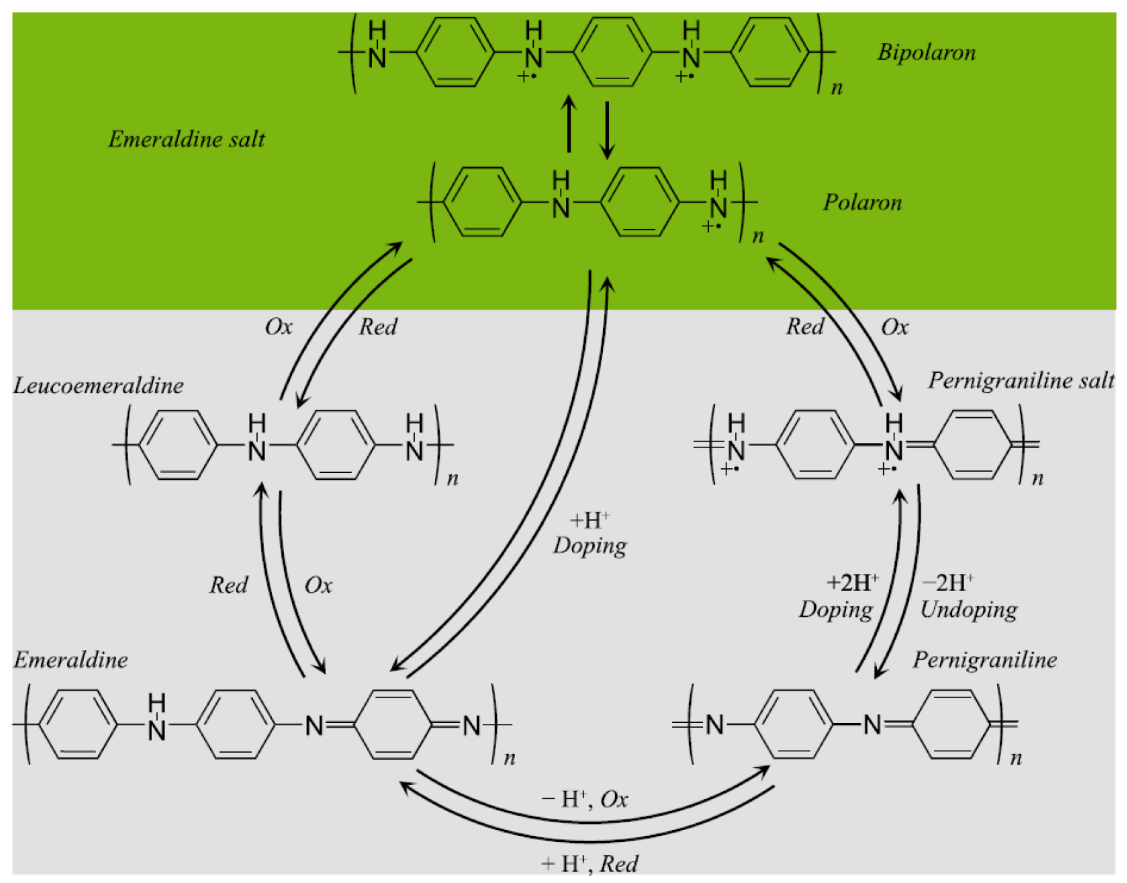 Biosensors 12 00137 g006