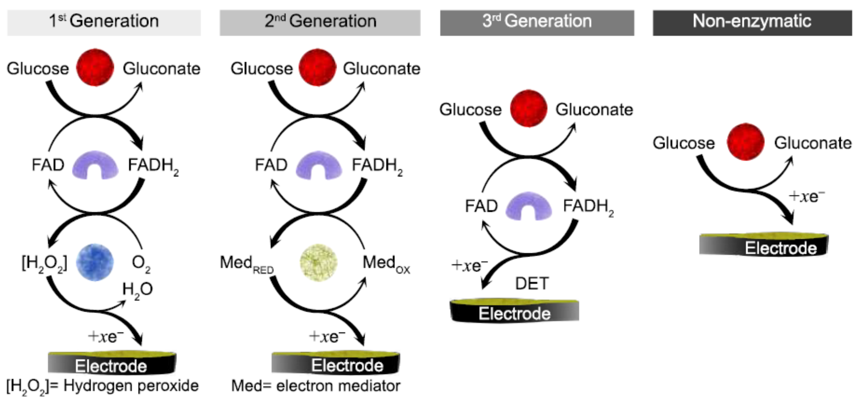 Biosensors 12 00137 g007