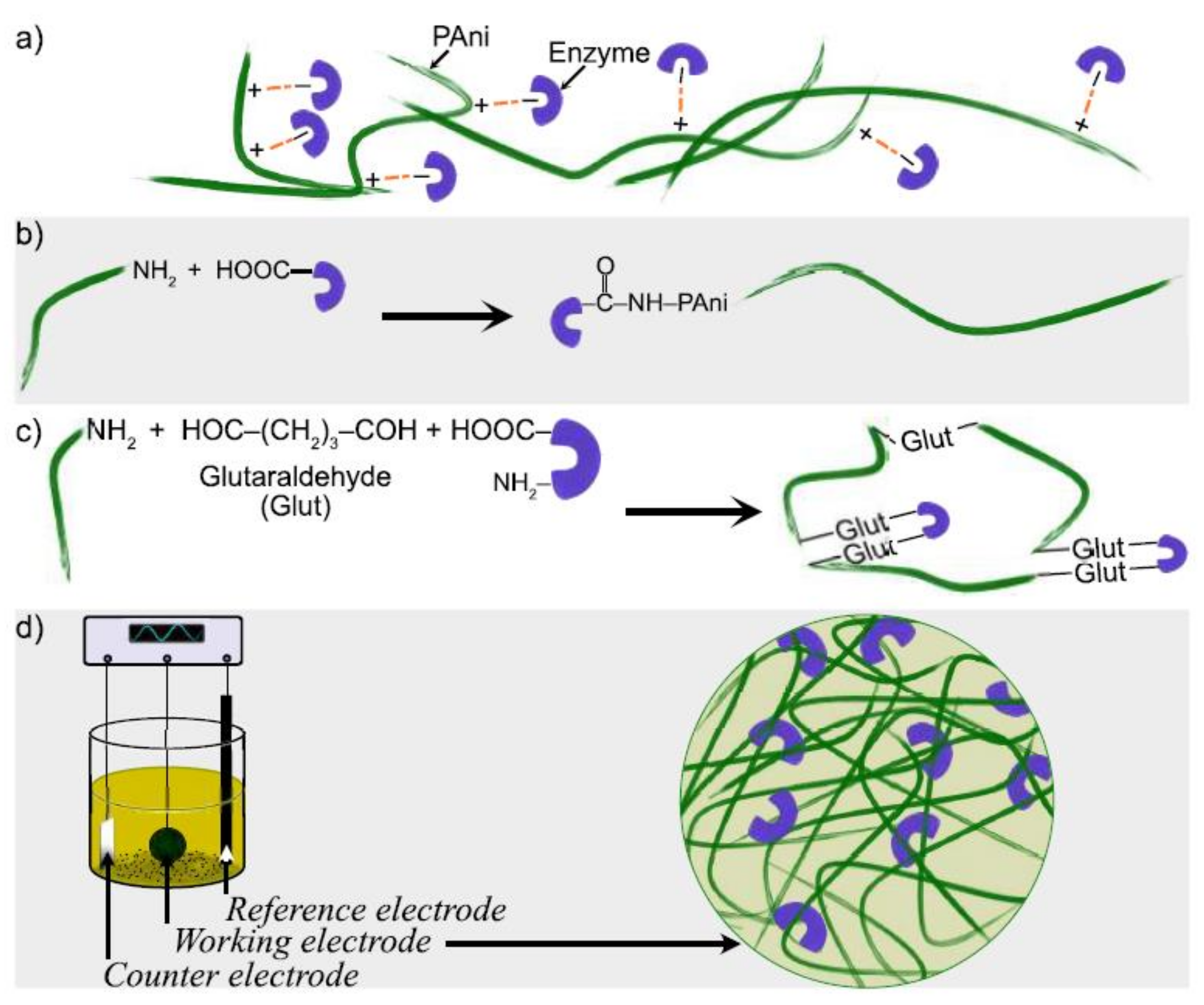 Biosensors 12 00137 g008