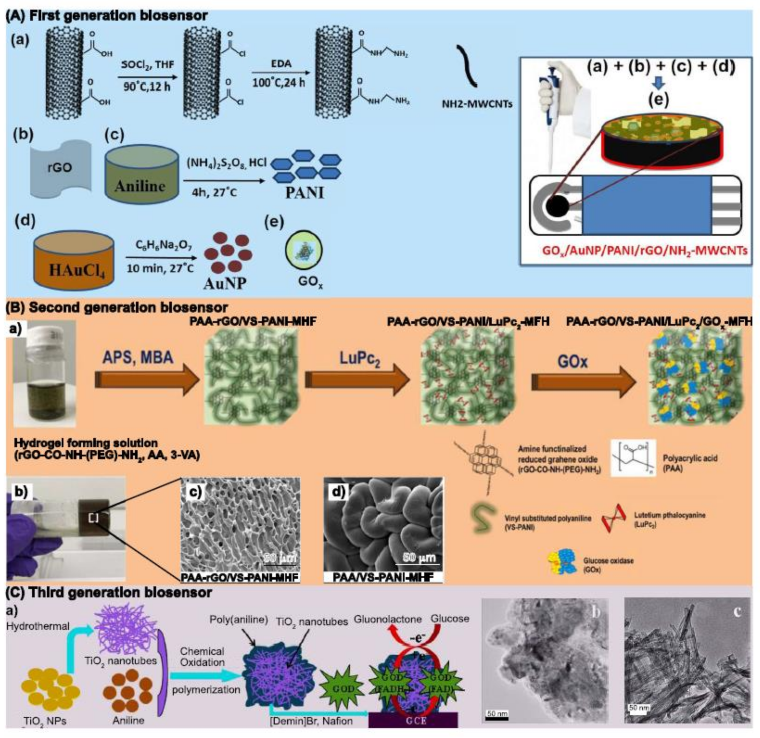 Biosensors 12 00137 g009