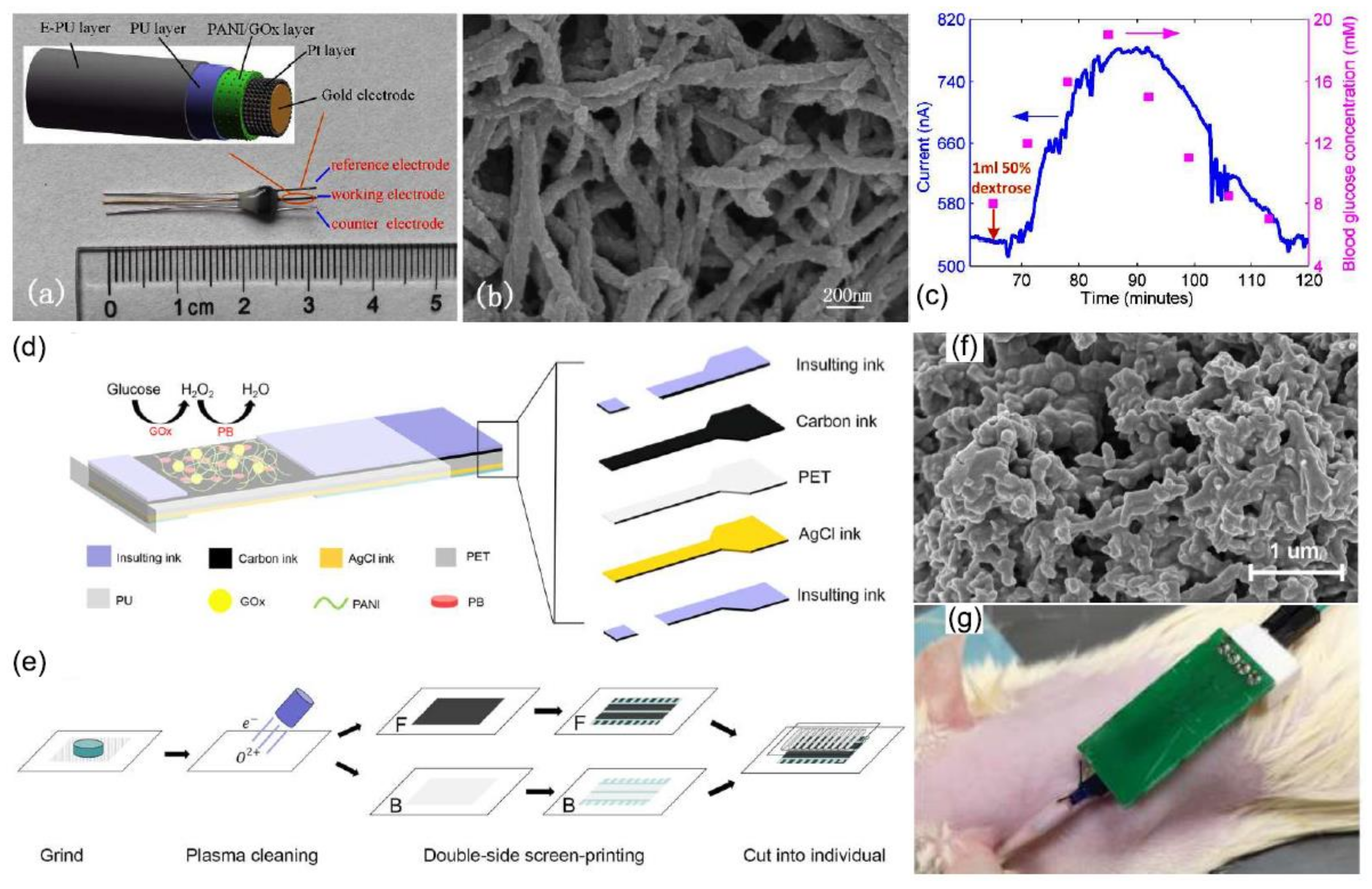 Biosensors 12 00137 g010