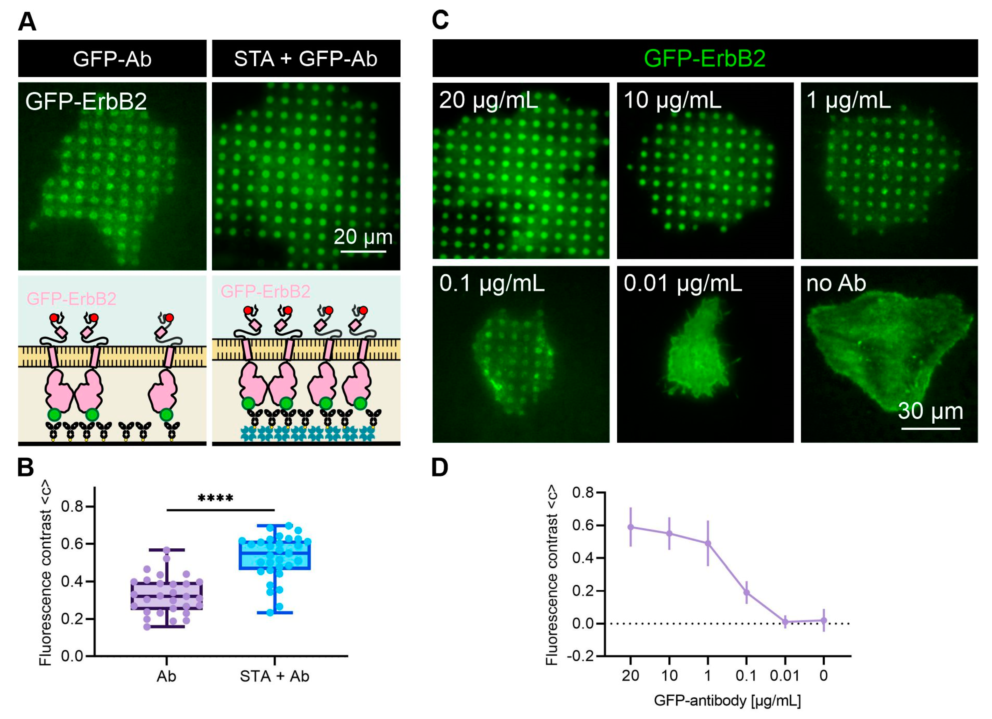 Biosensors 12 00140 g004