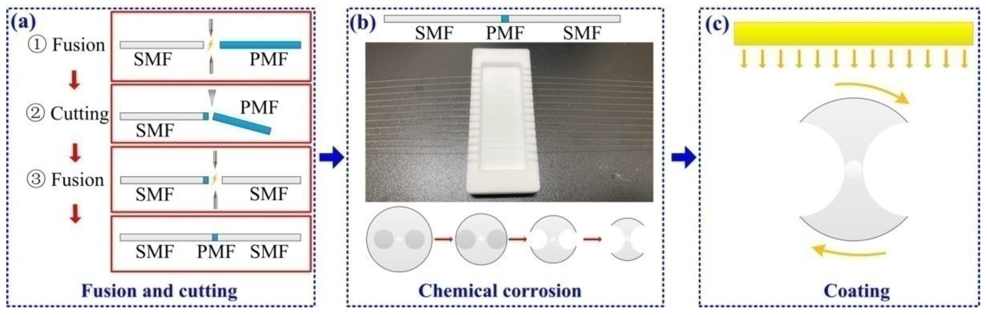 Biosensors 12 00141 g001