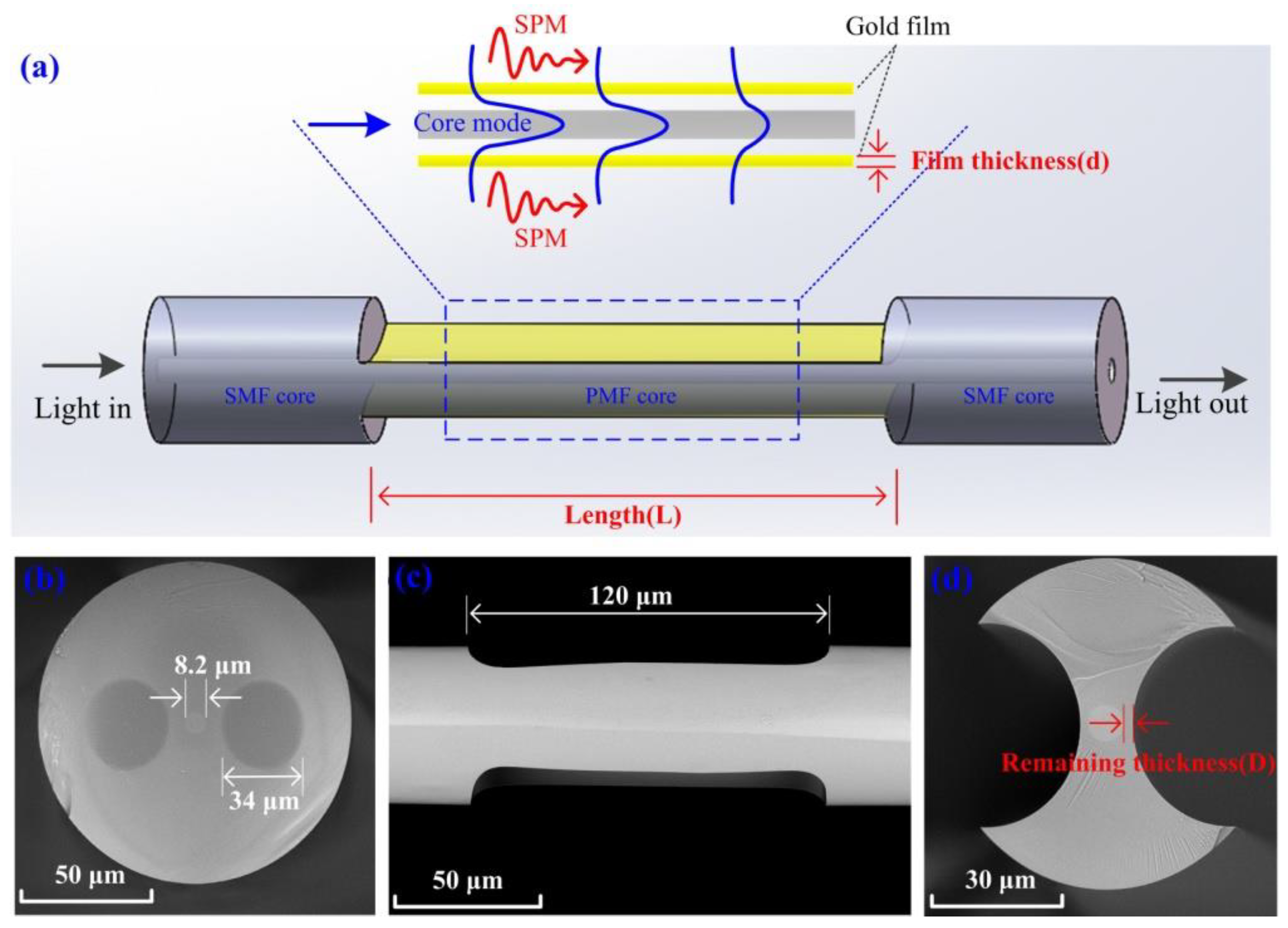 Biosensors 12 00141 g002