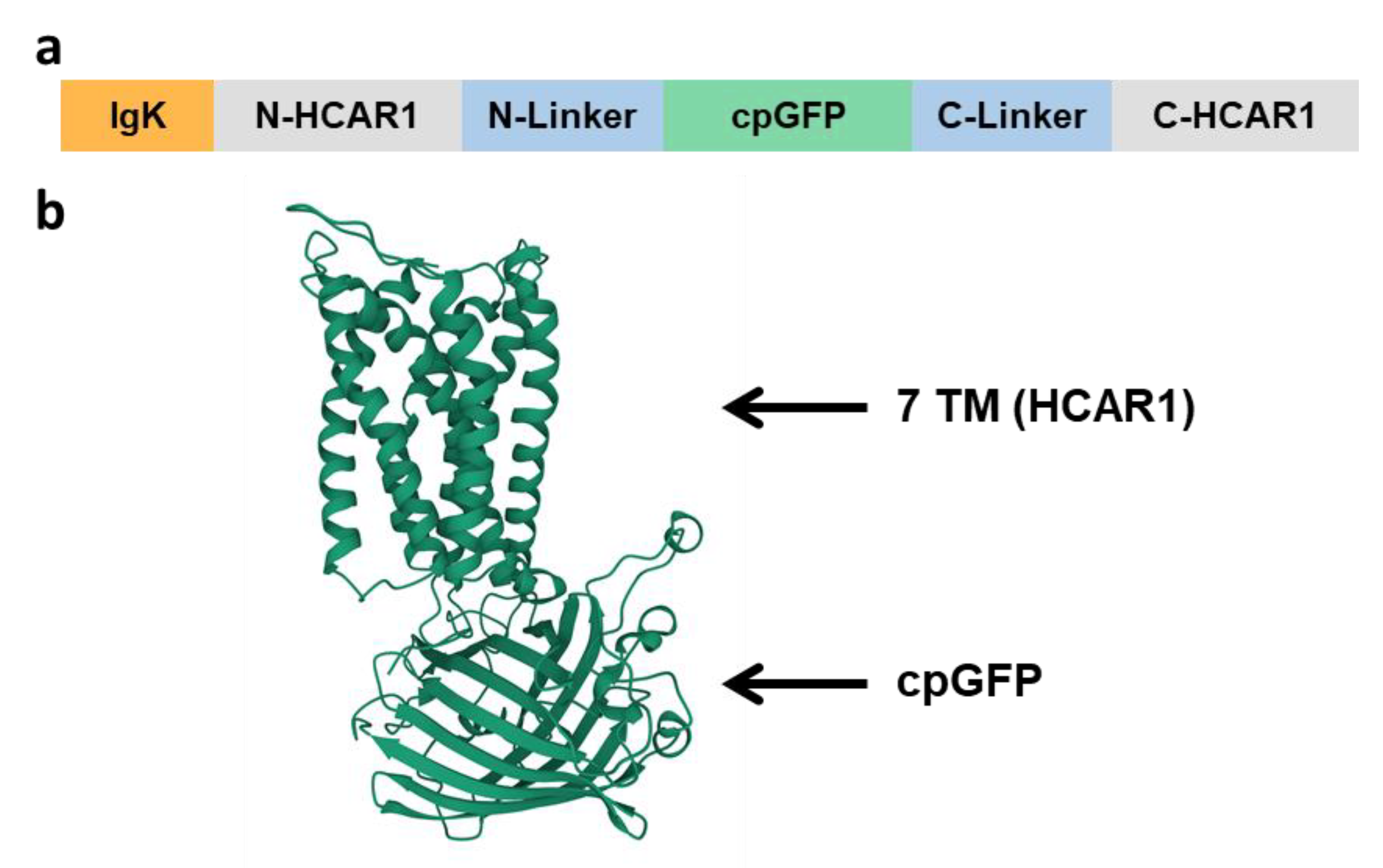Biosensors 12 00143 g003