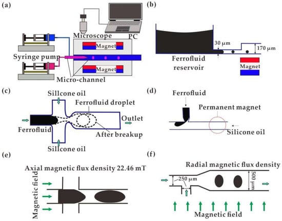 Biosensors 12 00156 g001